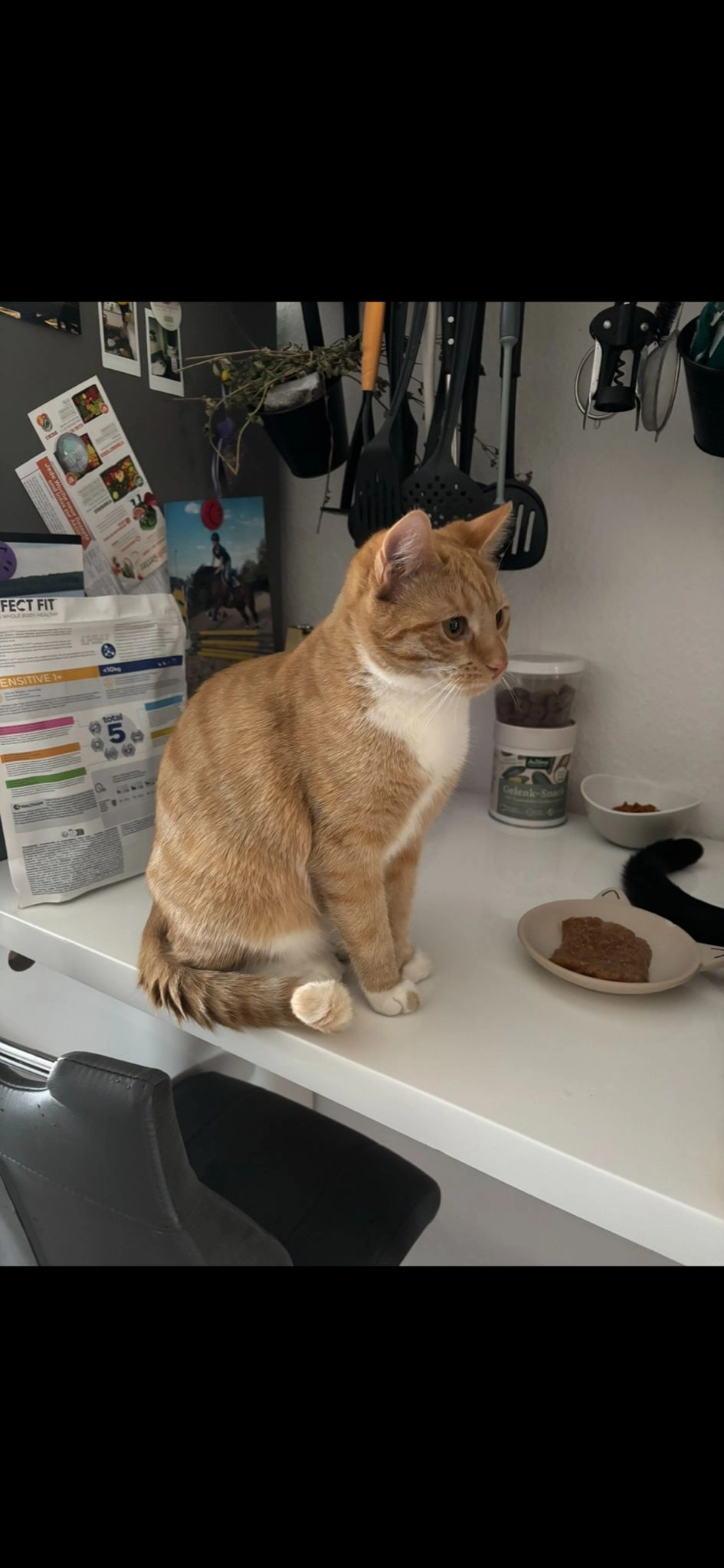 Luna Lu - Teichstraße 6, Löbnitz