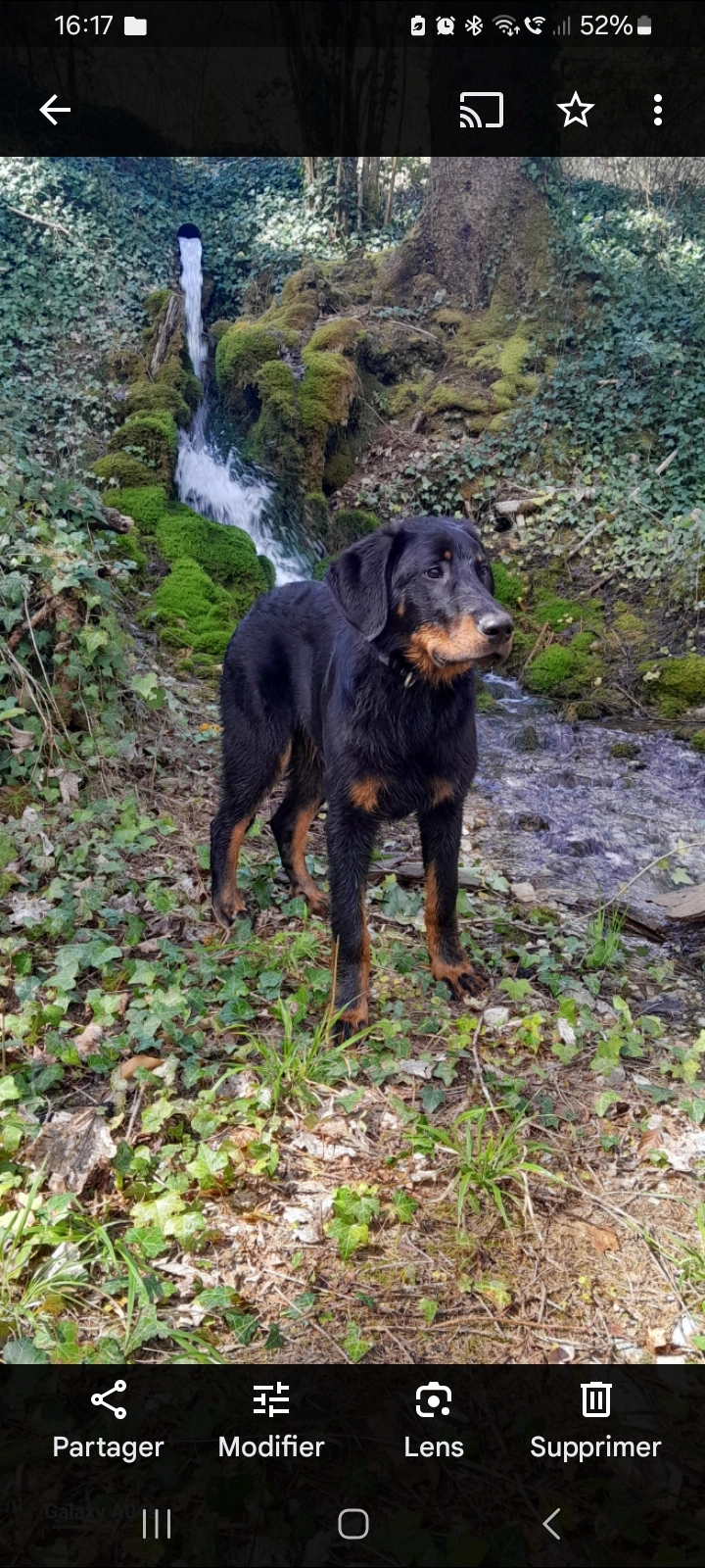 Verox - Chemin De La Gare, Nurieux-Volognat