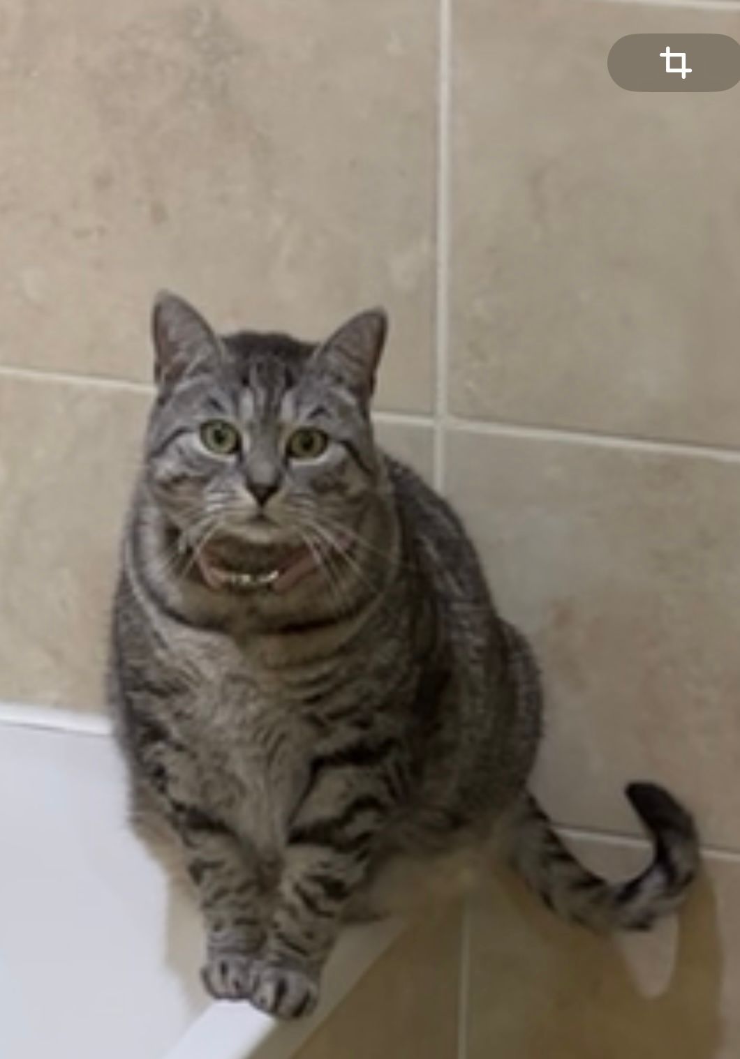 Koula - Avenue Gambetta, Cadenet