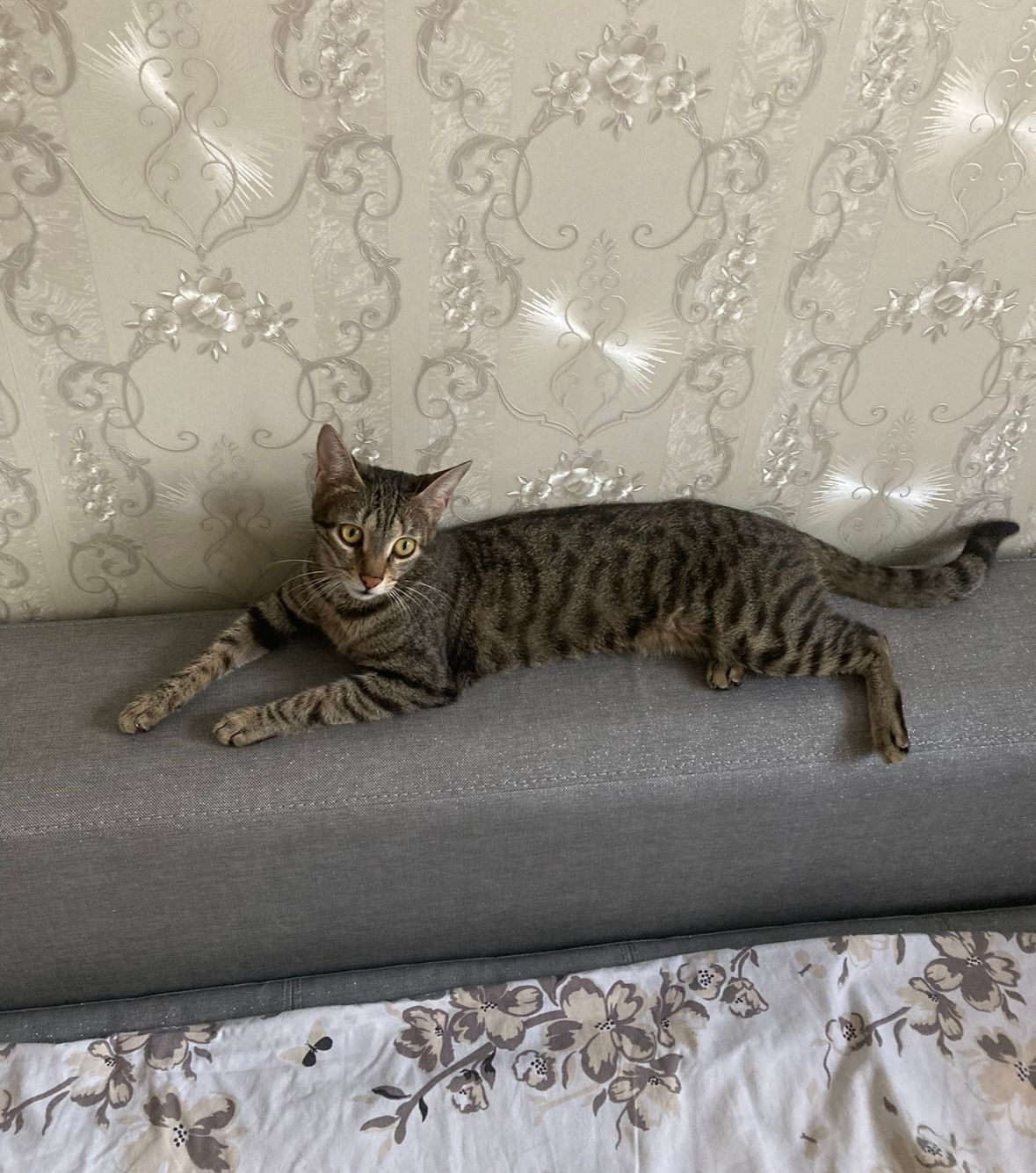 Maya - ulitsa Petko Karavelov 7, Plovdiv