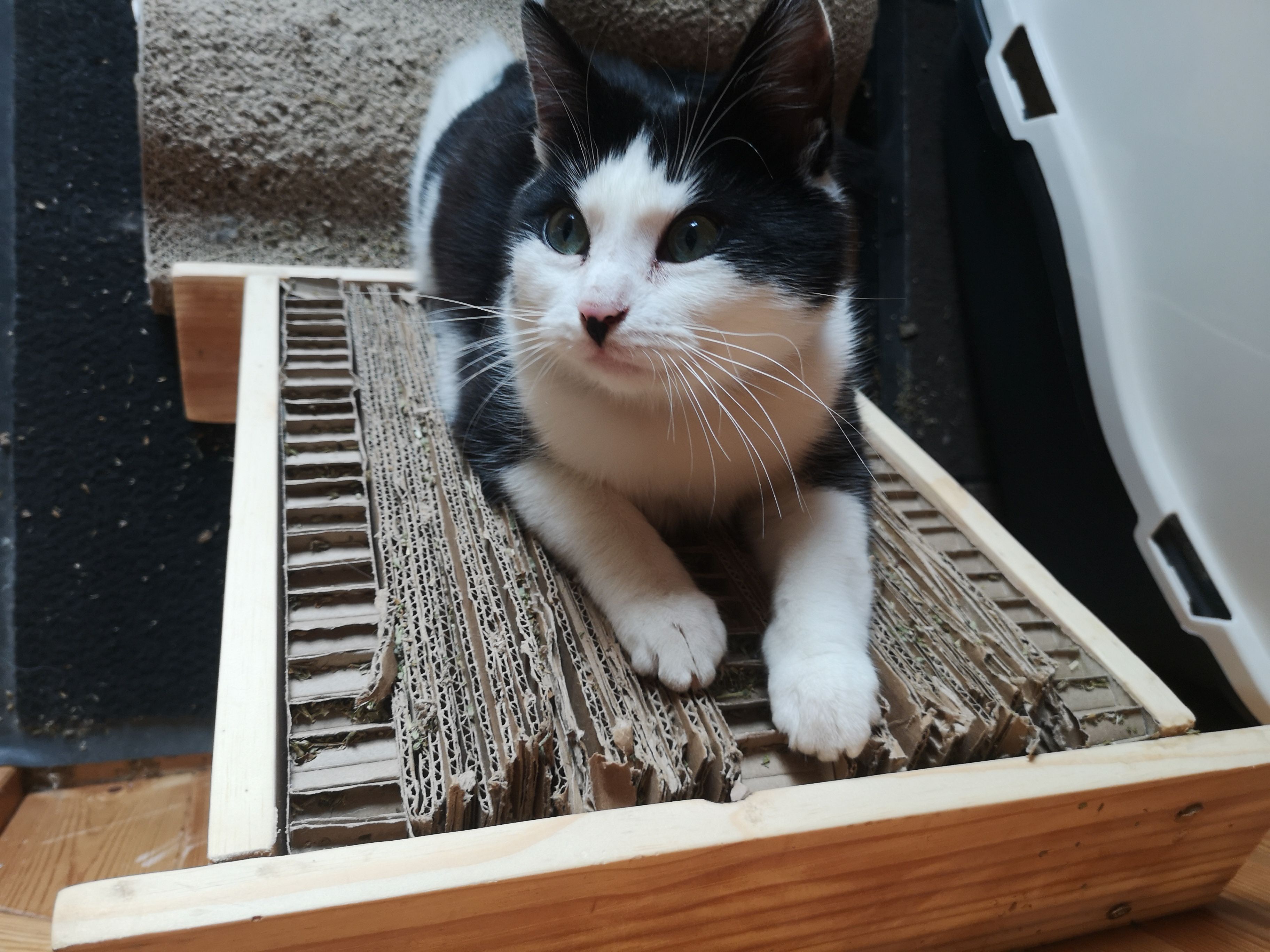 Billy - Annagh road , Kilcogy