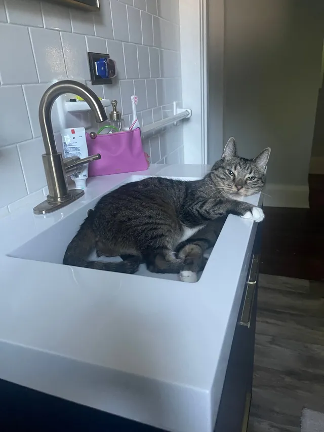 Milo - 5702 Edmondson Ave, Catonsville