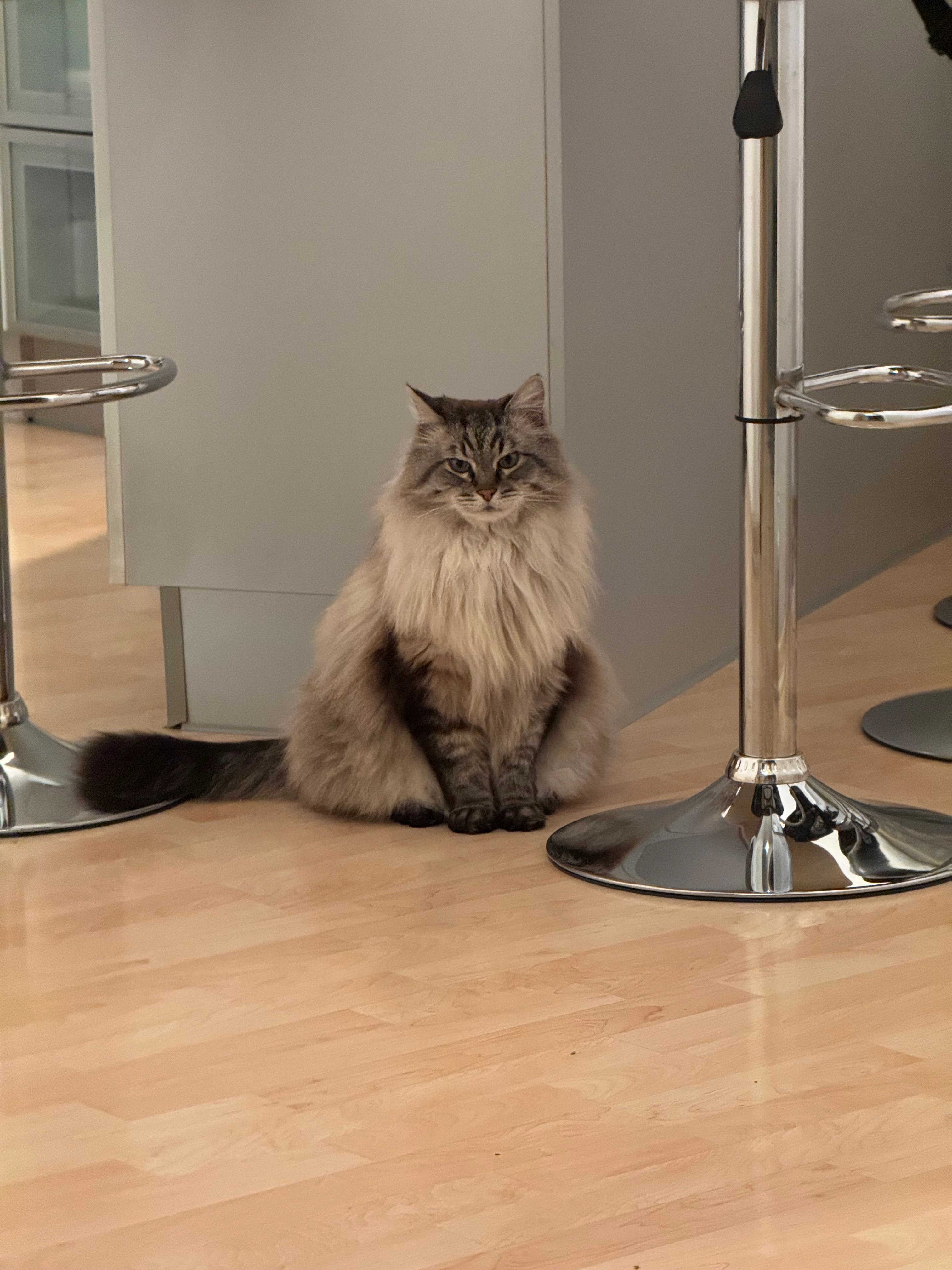 Kuzco - Ahornweg, Winnenden