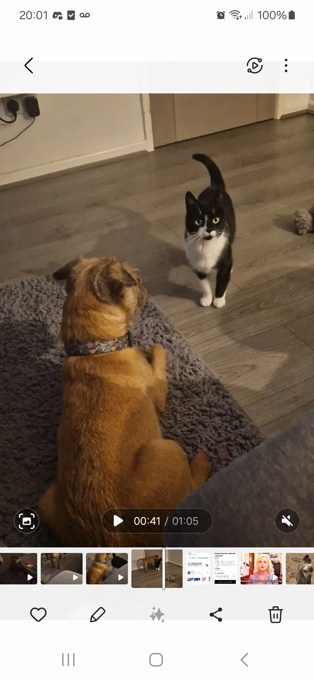 Flossy - Warwick Close, Stoke-on-Trent