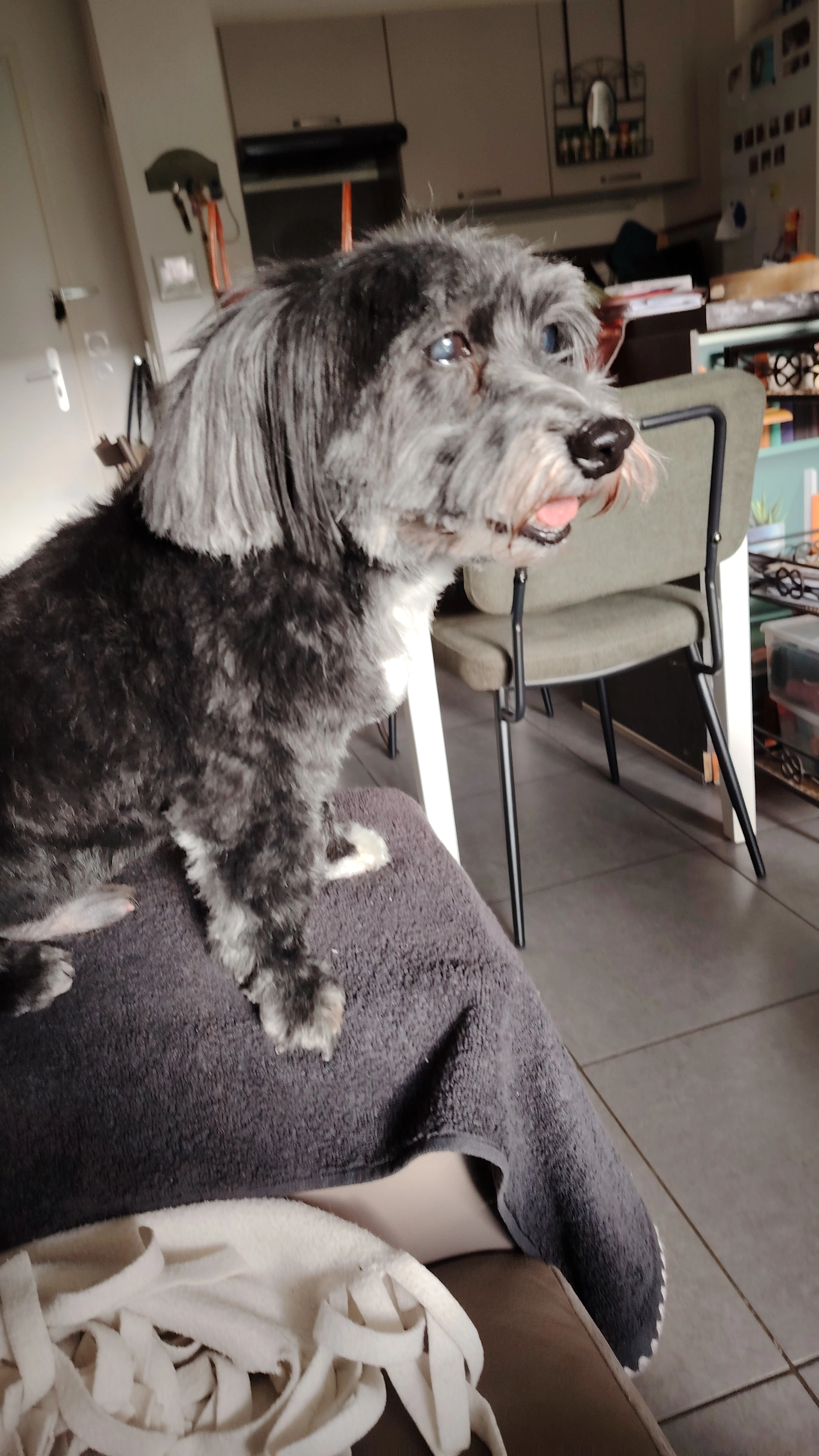 Hermes  - 337 Route de Barby, La Ravoire