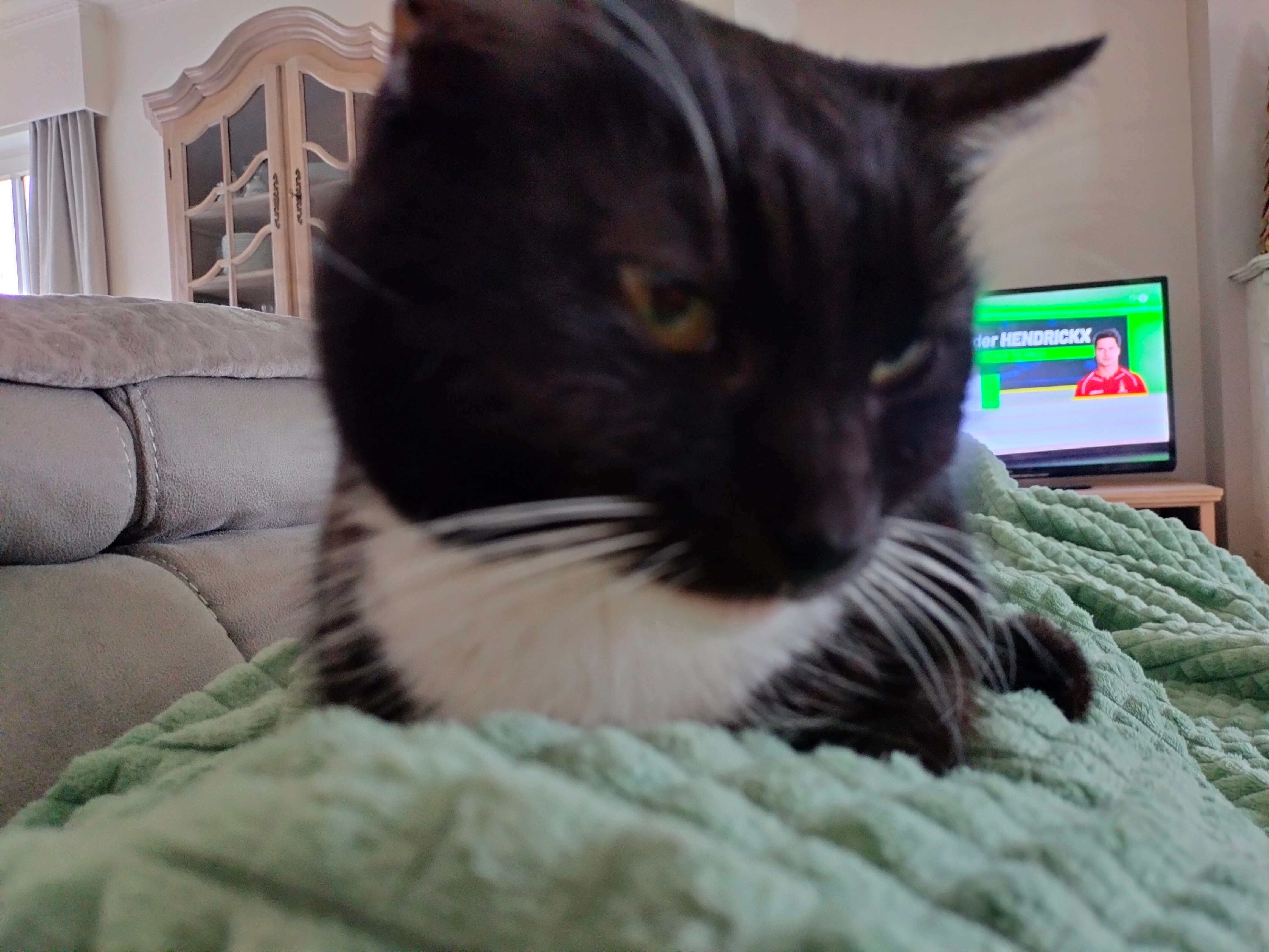 Woppie - Breestraat 24, Laarne