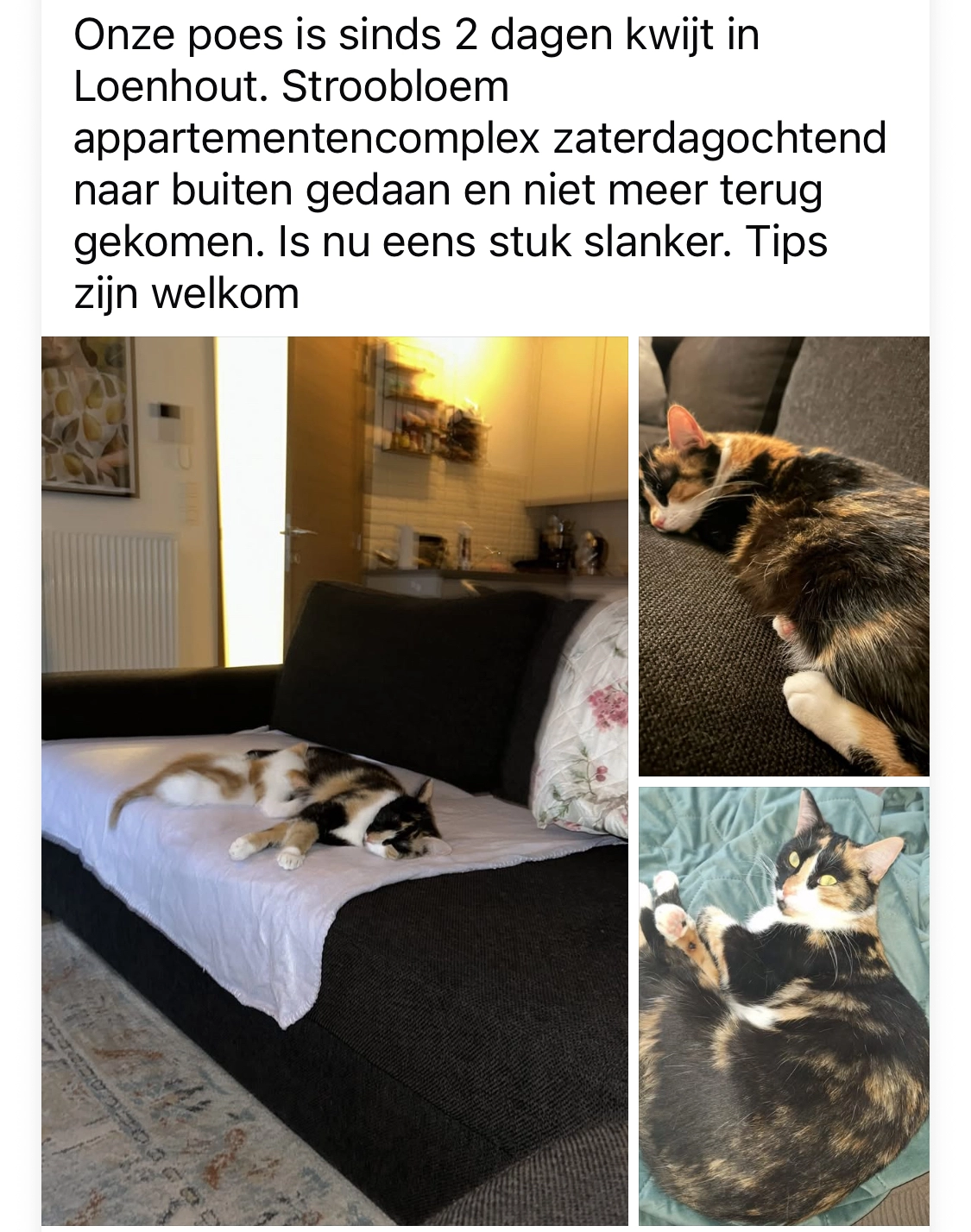 Mya - Tienpondstraat, Wuustwezel