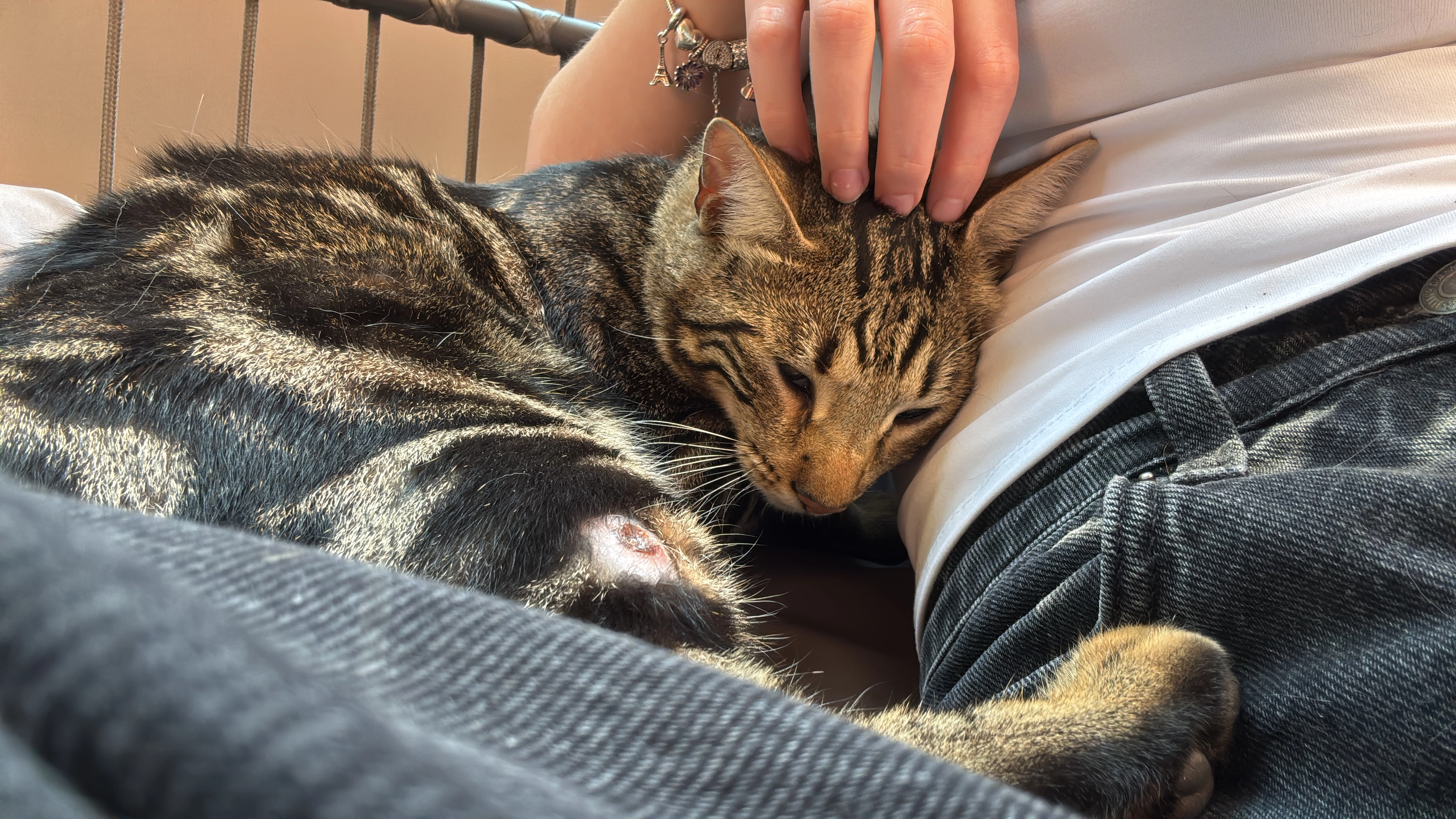 Benni - Jakobertorplatz, Augsburg