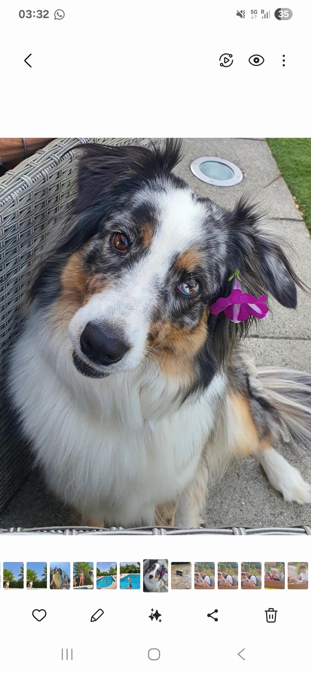 Roxy  - Camí De L'estació Nord, Cocentaina