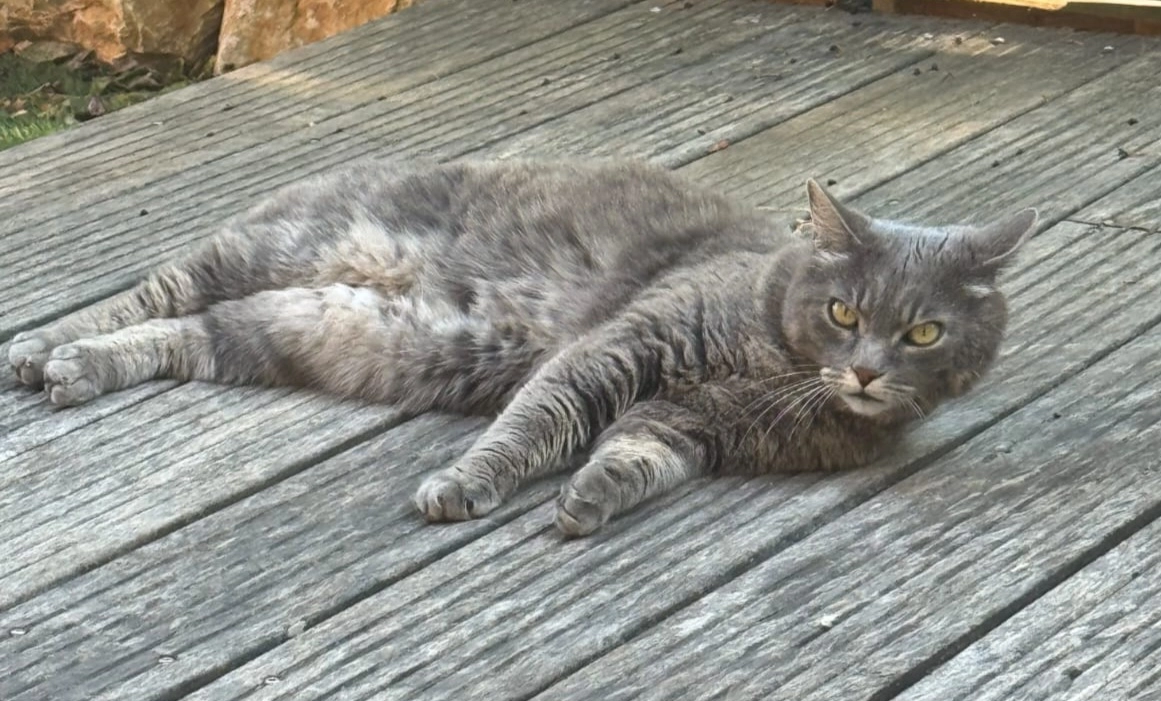 KERAN - Avenue Paradis, Le Luc