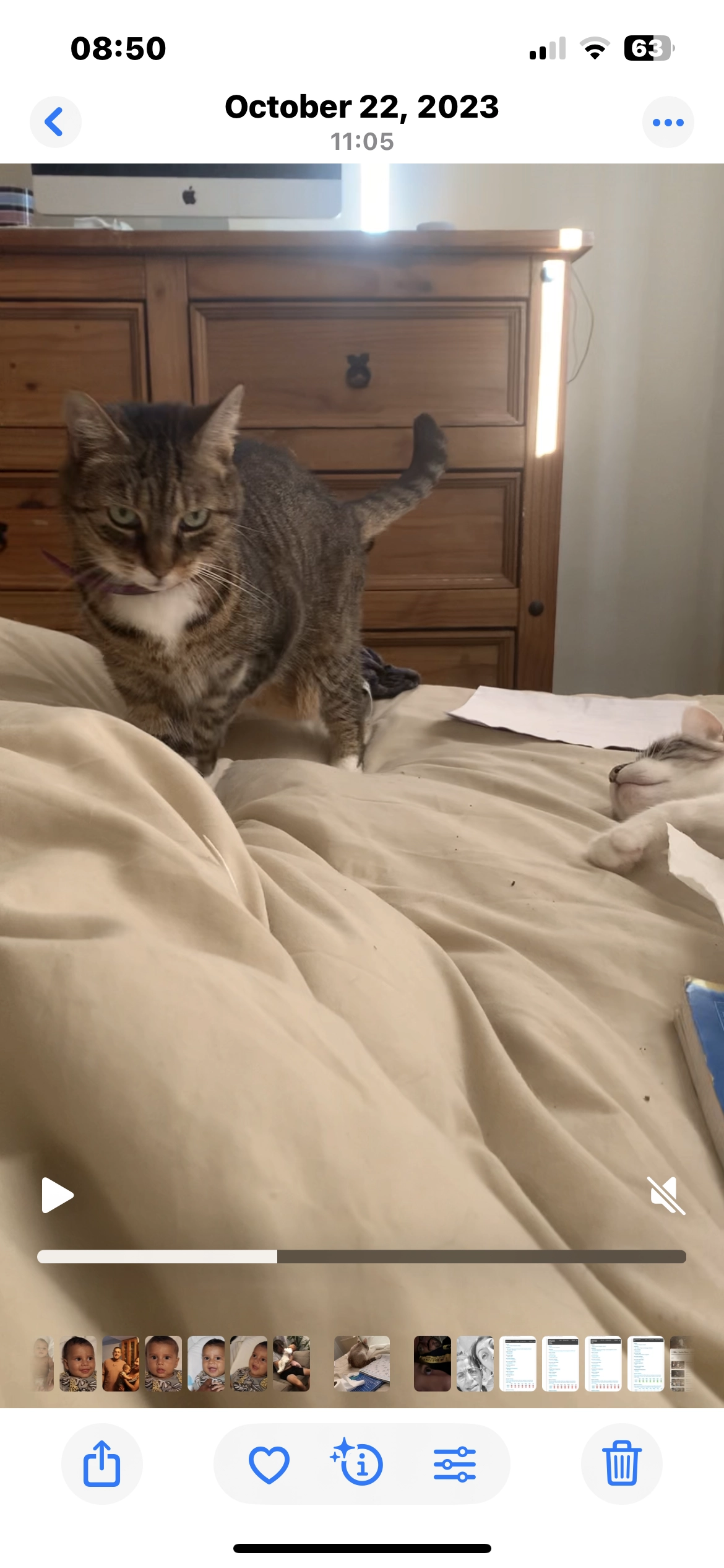 Nikita  - 56 Histon Road, Cambridge