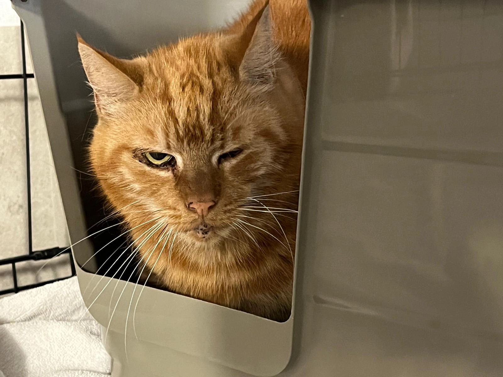 Moses - Ringweg, Neufahrn bei Freising