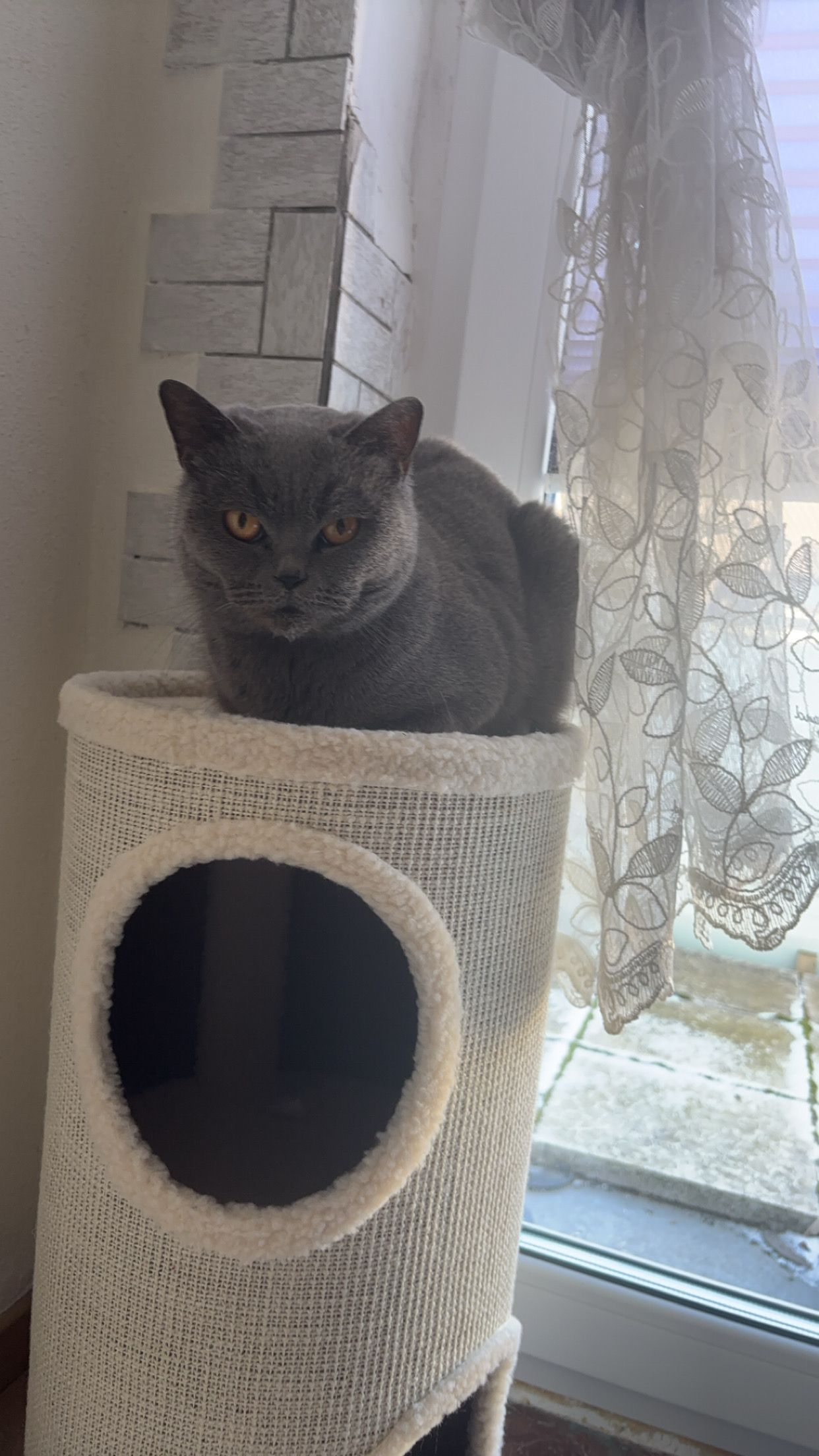 Tarcin - Schützengraben, Brilon