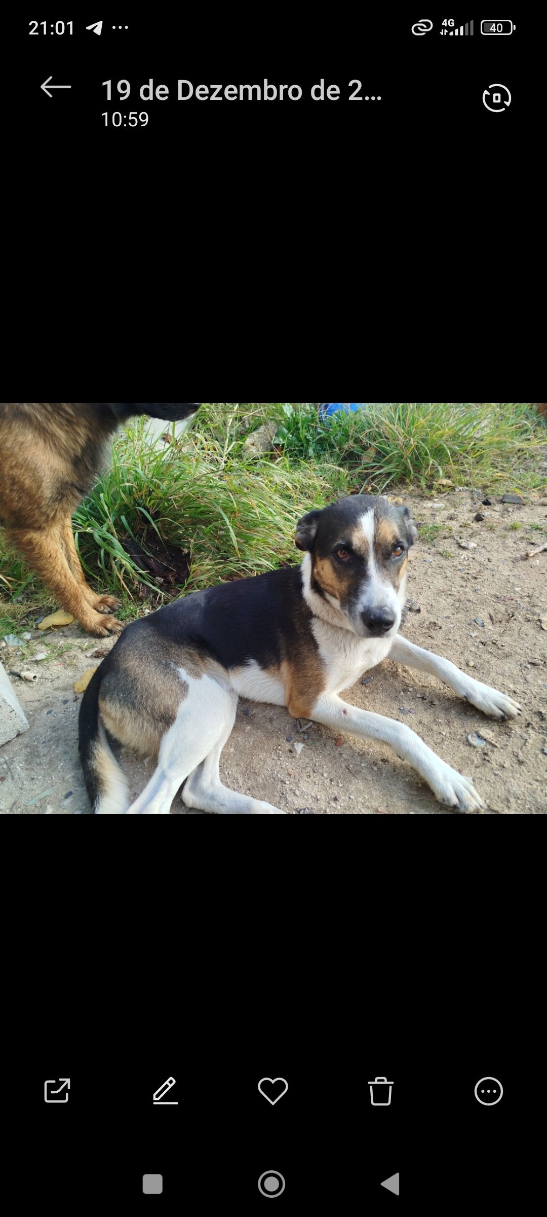 Chiggly woop  - Quinta da Marquesa Iv, Quinta do Anjo