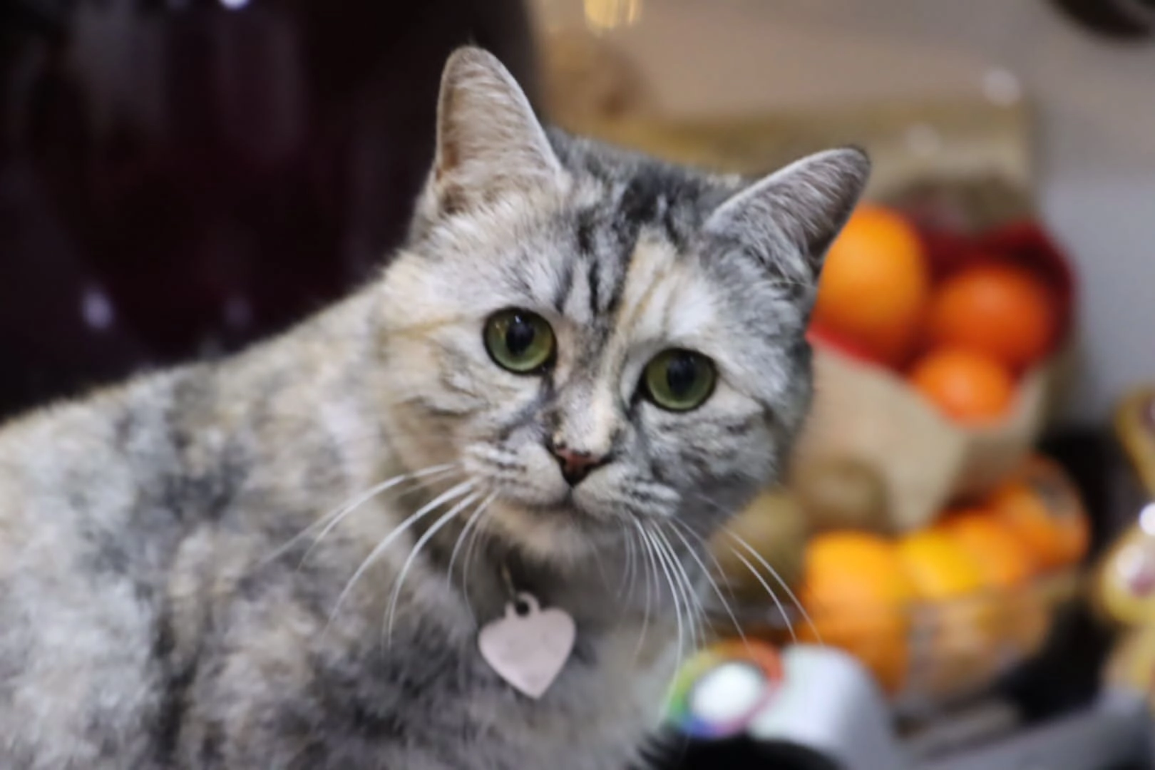 Dr Daum - Weinsteinstraße, Sonnenbühl