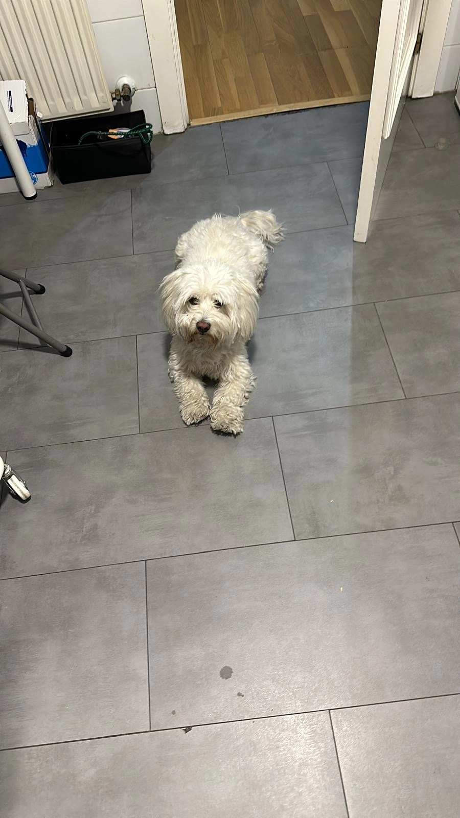 FLOQUI - Calle de Bacares 5, Madrid