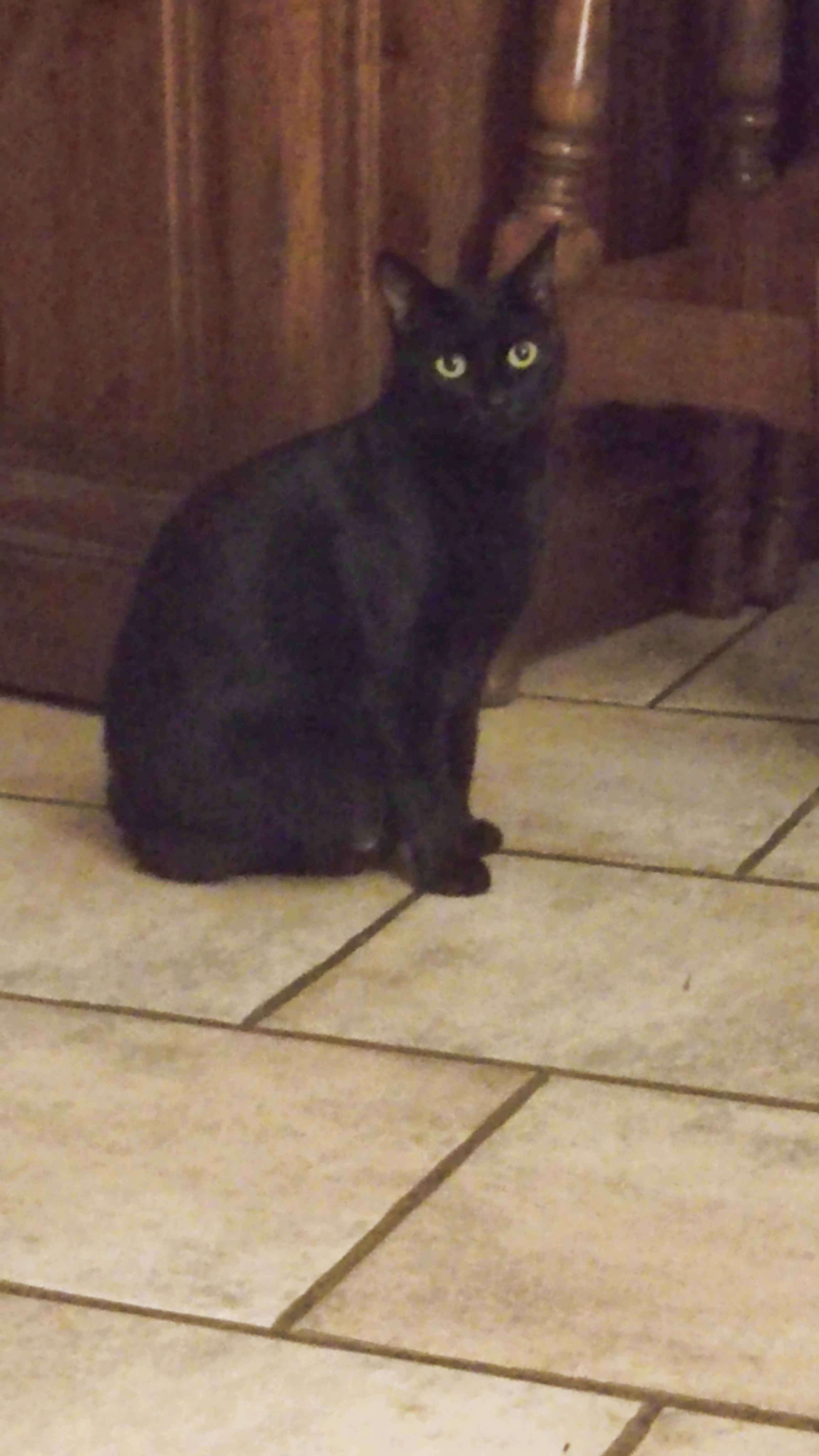 Rixie - Chemin de la Cruvière, Meynes