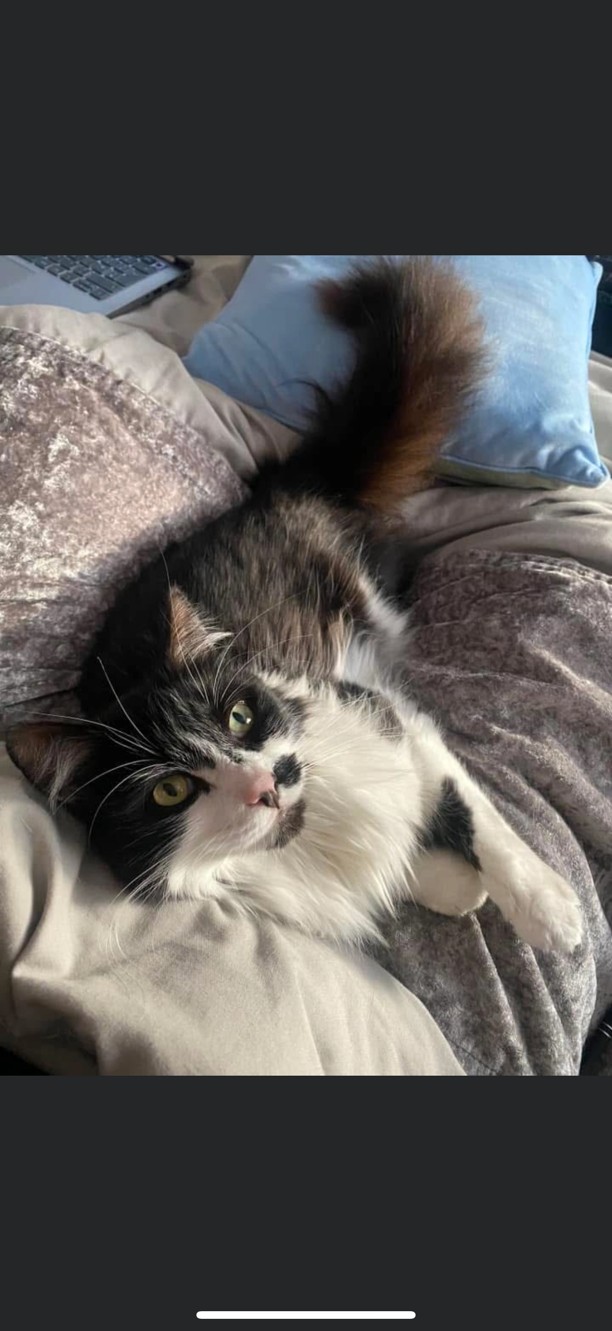 Flo - Huntingdon Avenue, Huddersfield