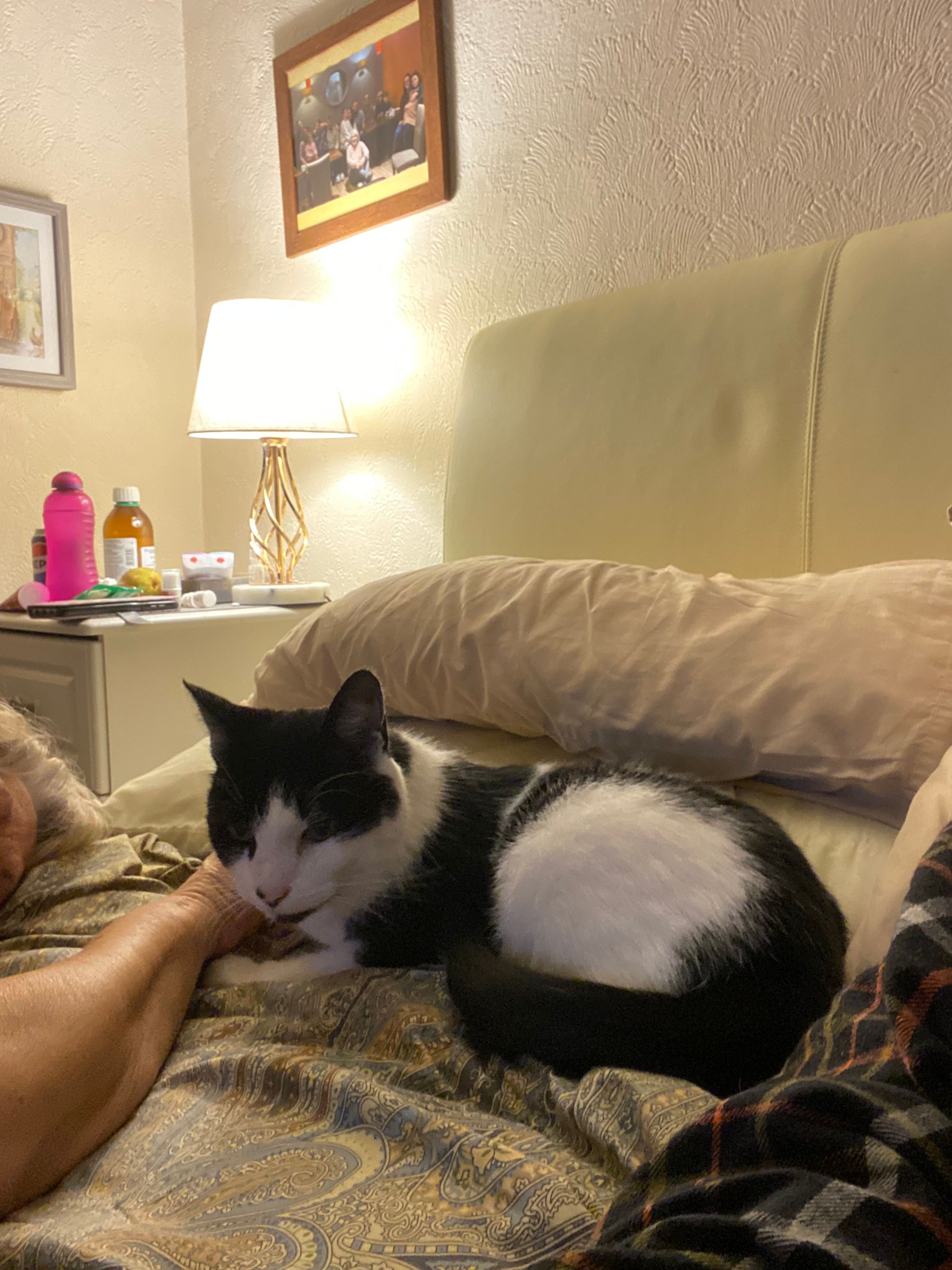 Podge - Church Road, Newark-on-Trent