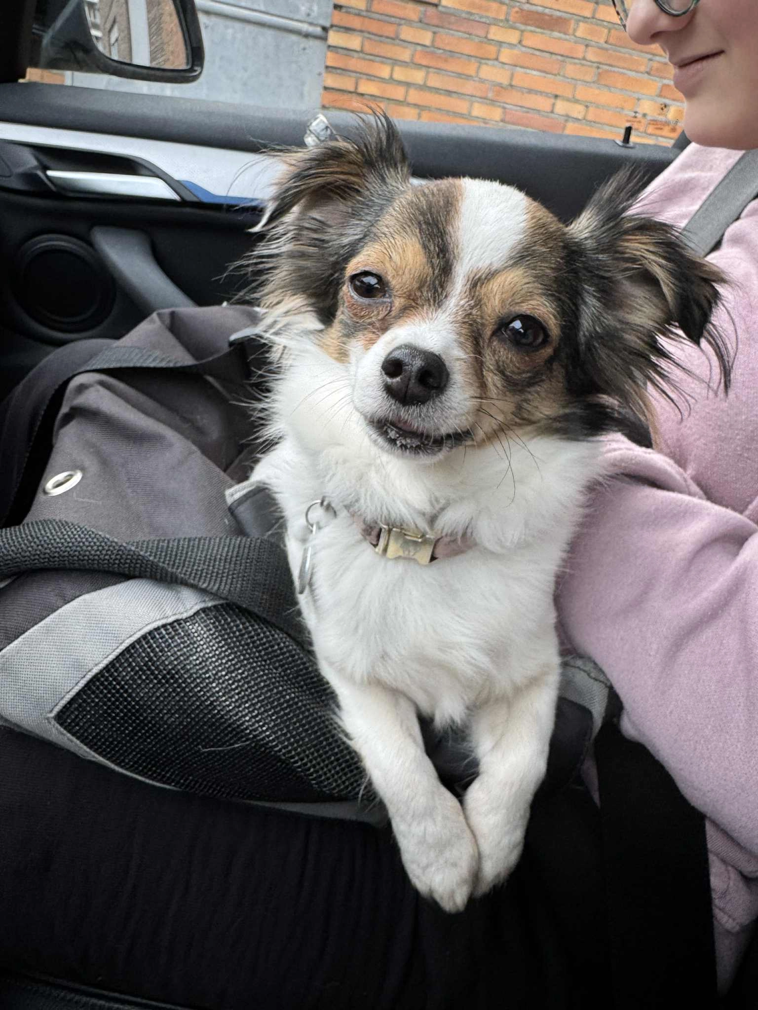 Zoé - Rue Louis Pasteur 44, Soumagne