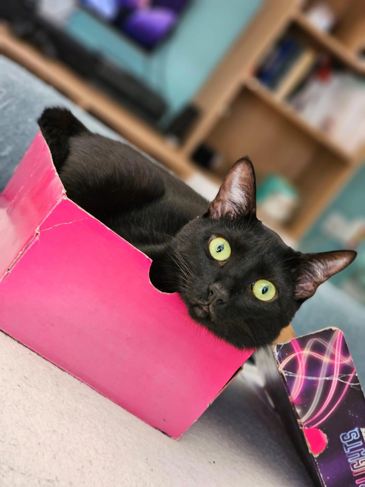 Maiz - Pauckerstraße, Wendelstein