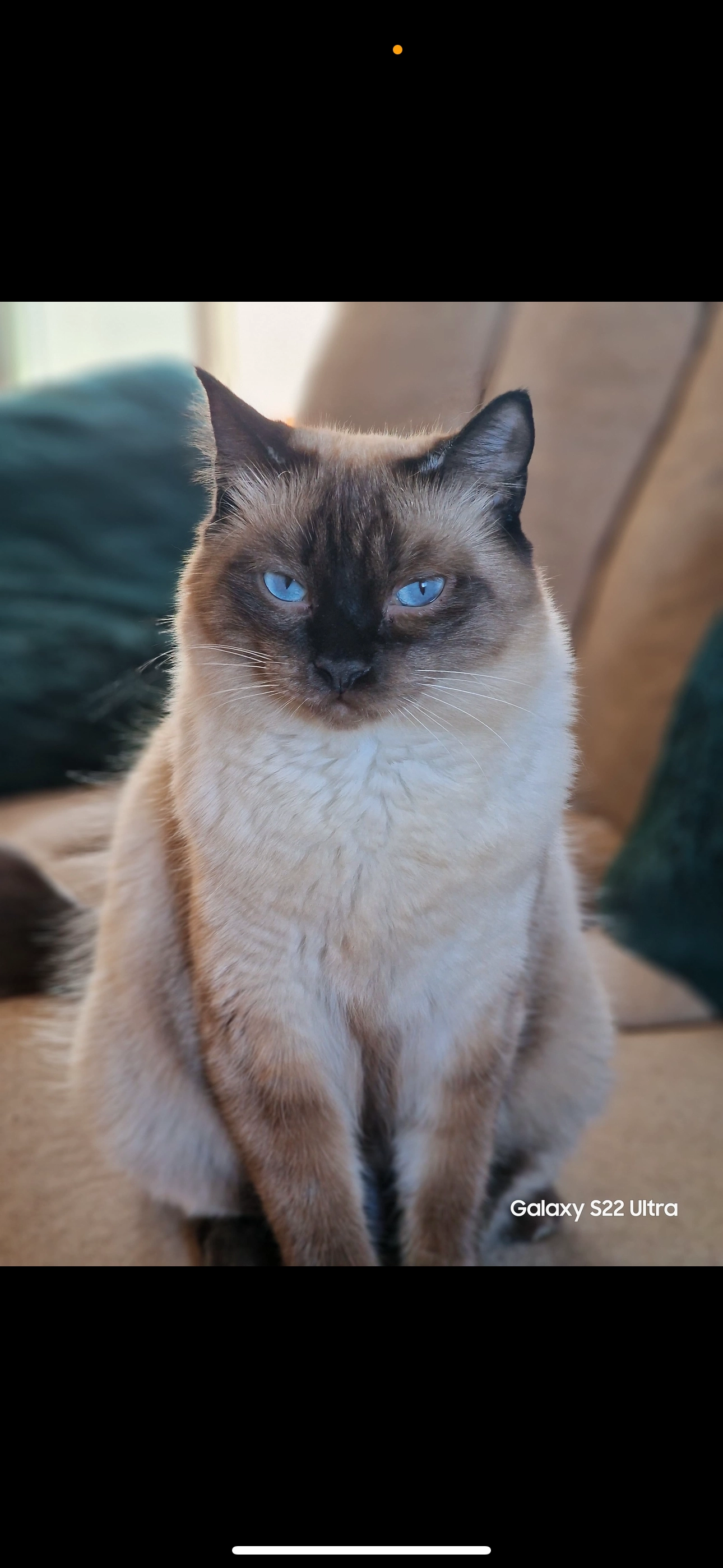Berlín  - Calle del Arrecife, Santa Fe
