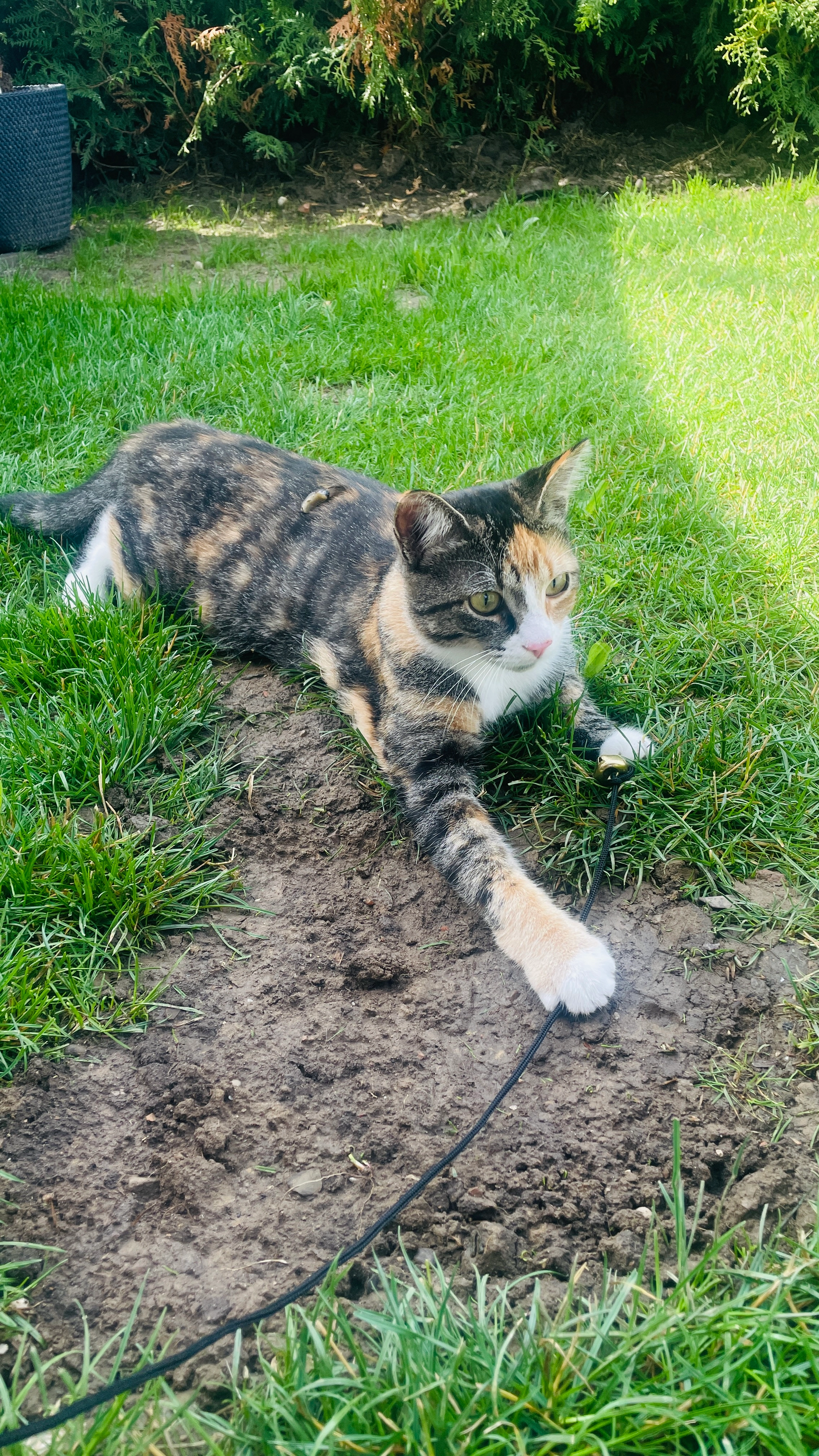 Luna - Zum Moos 7, Pfaffenhausen