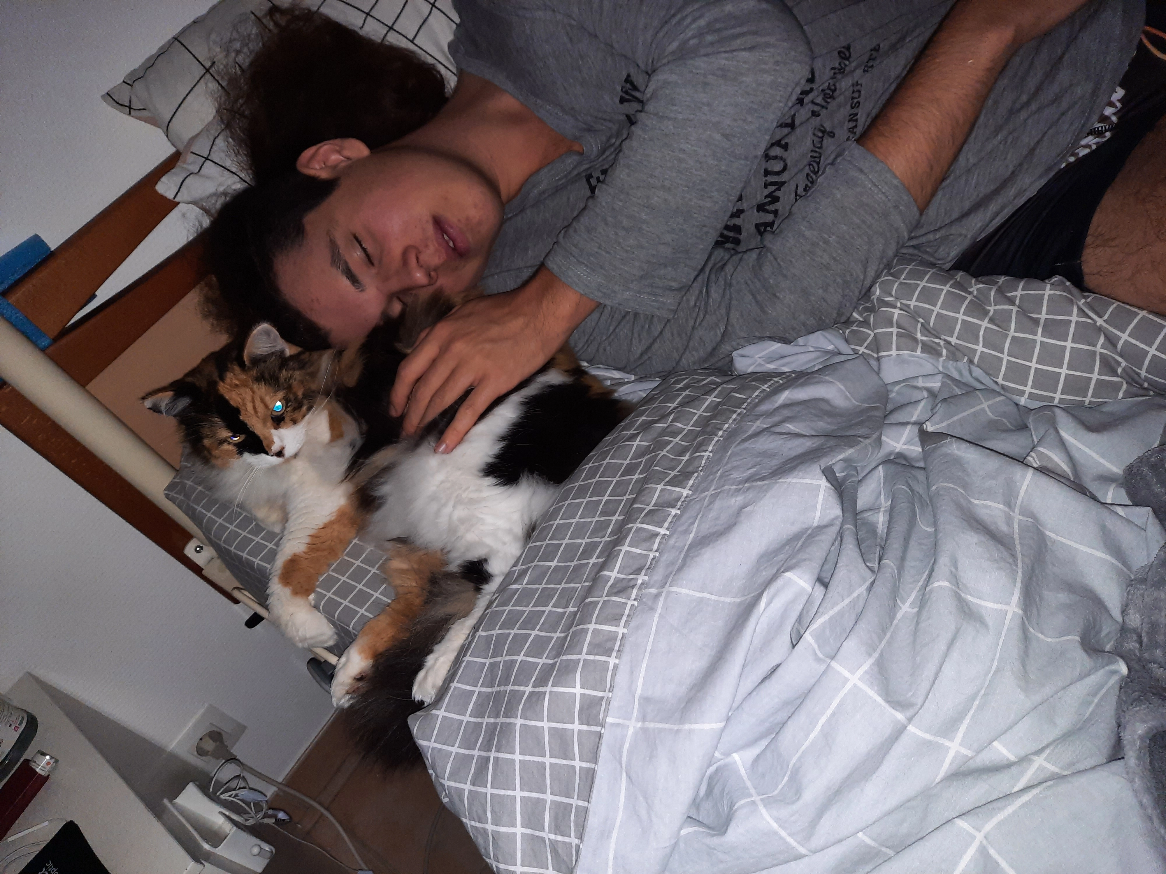 Gaïa - Allée des Genêts, Cournanel