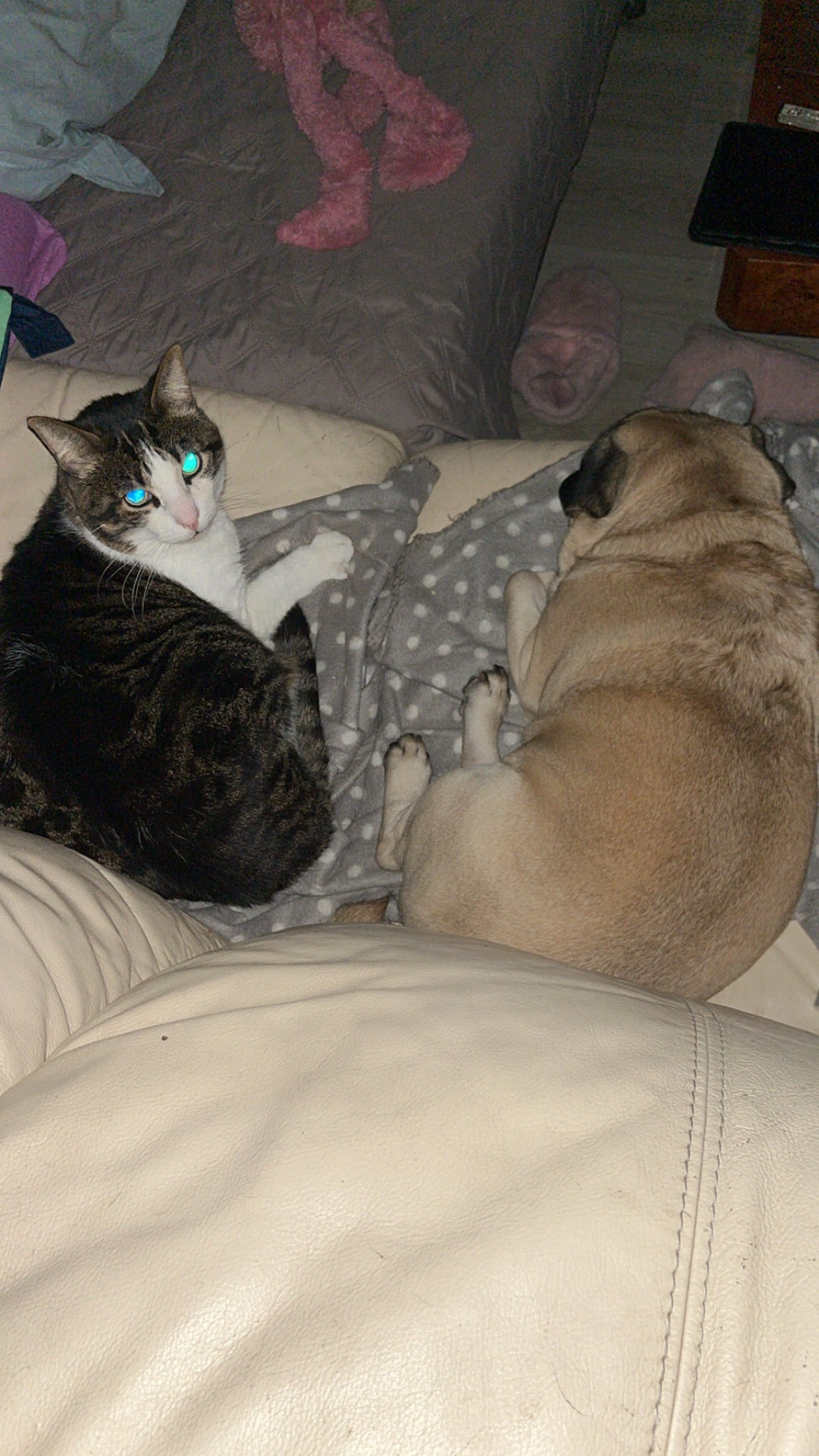 Thygrouh - 10 Place de l'Hôtel de Ville, Arudy