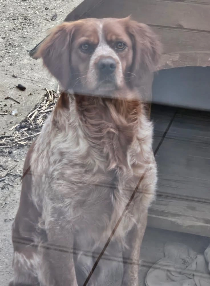 Titan - Route d'Agen, Auch