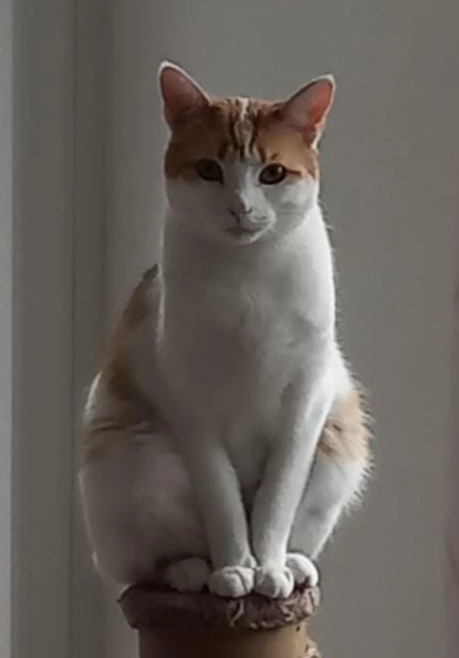 Berry - Von-Behring-Straße, Kempen