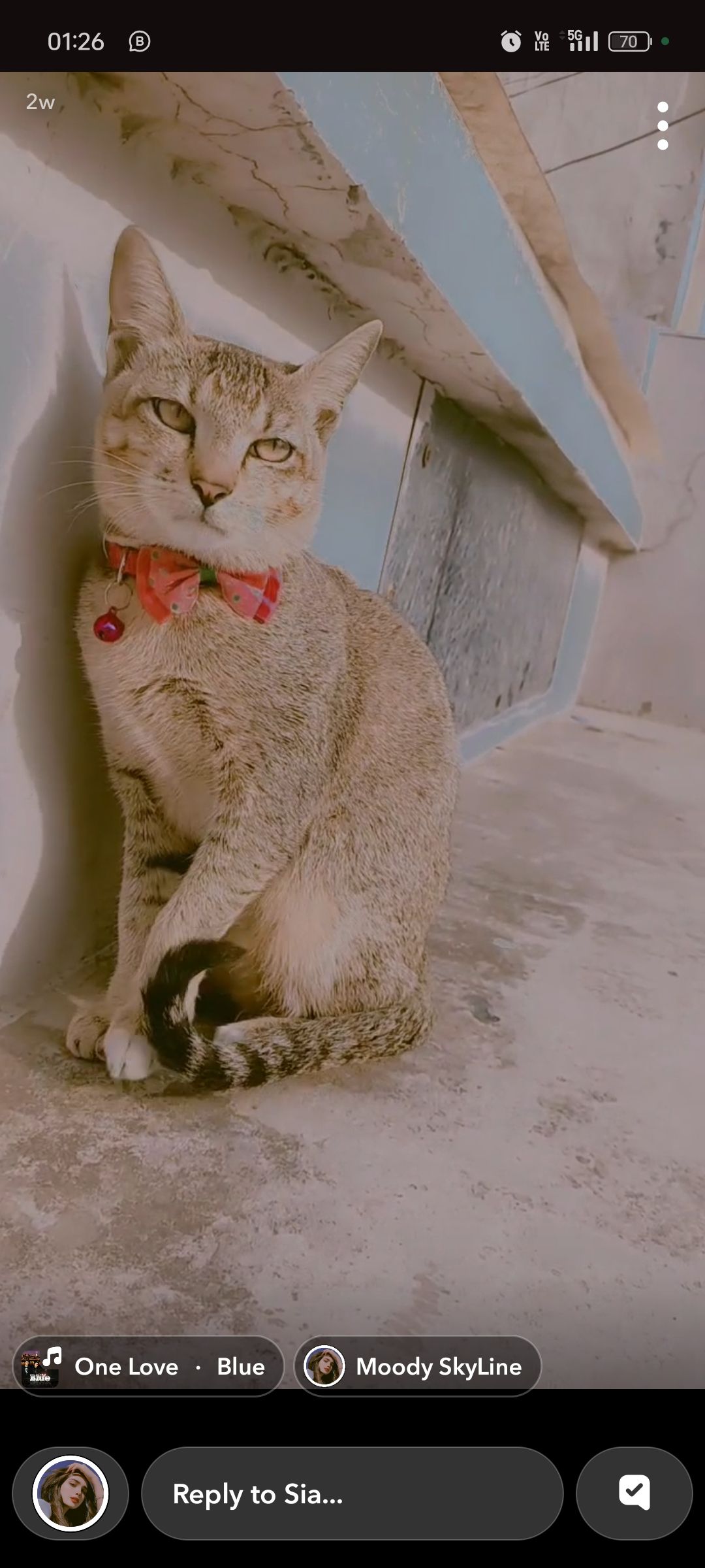 Kiki - Ferozepur Road Flyover, Ludhiana