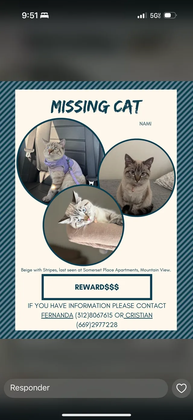 Nami - 2210 Rock St, Mountain View