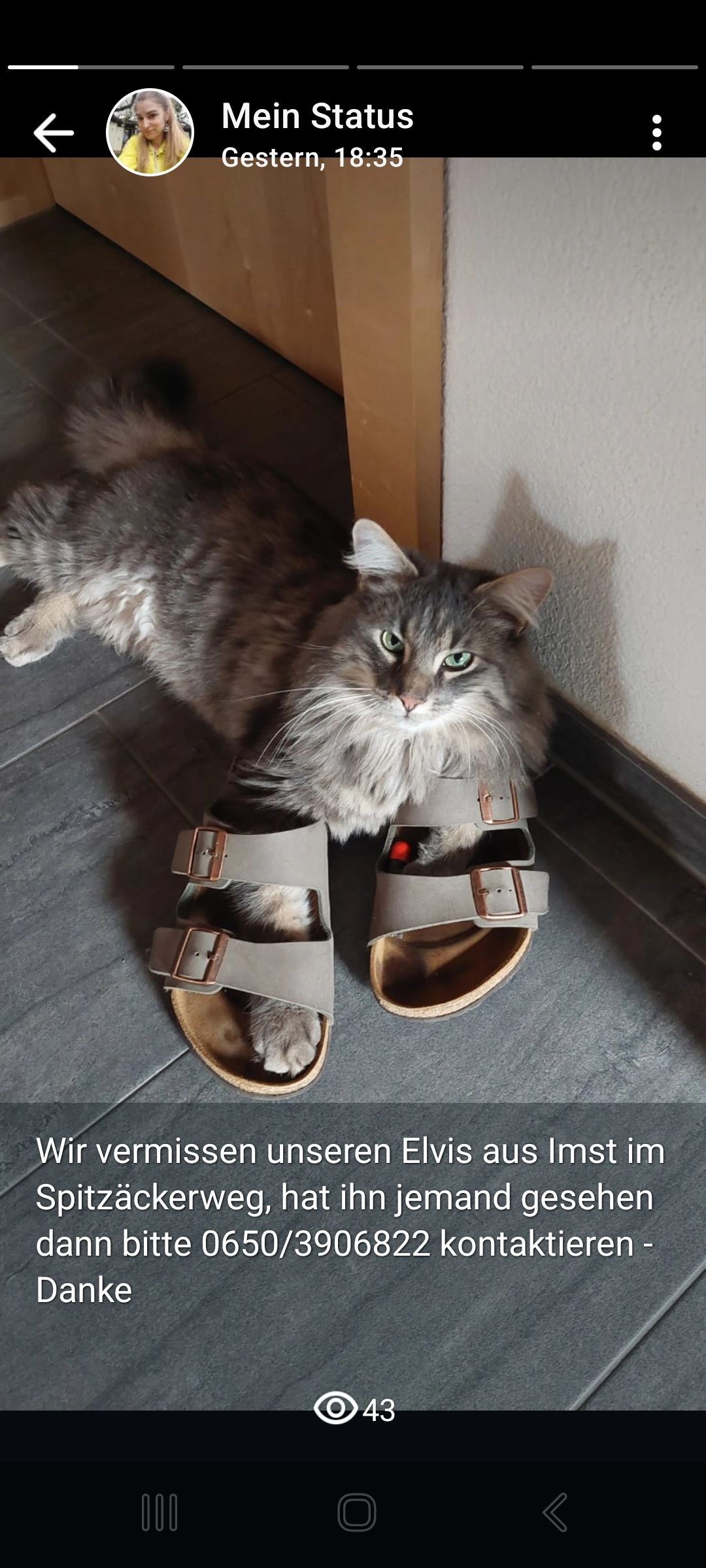 Elvis - Spitzäckerweg 9, Imst