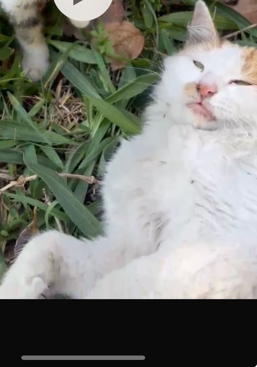 Touti - Selaata, Batroun District