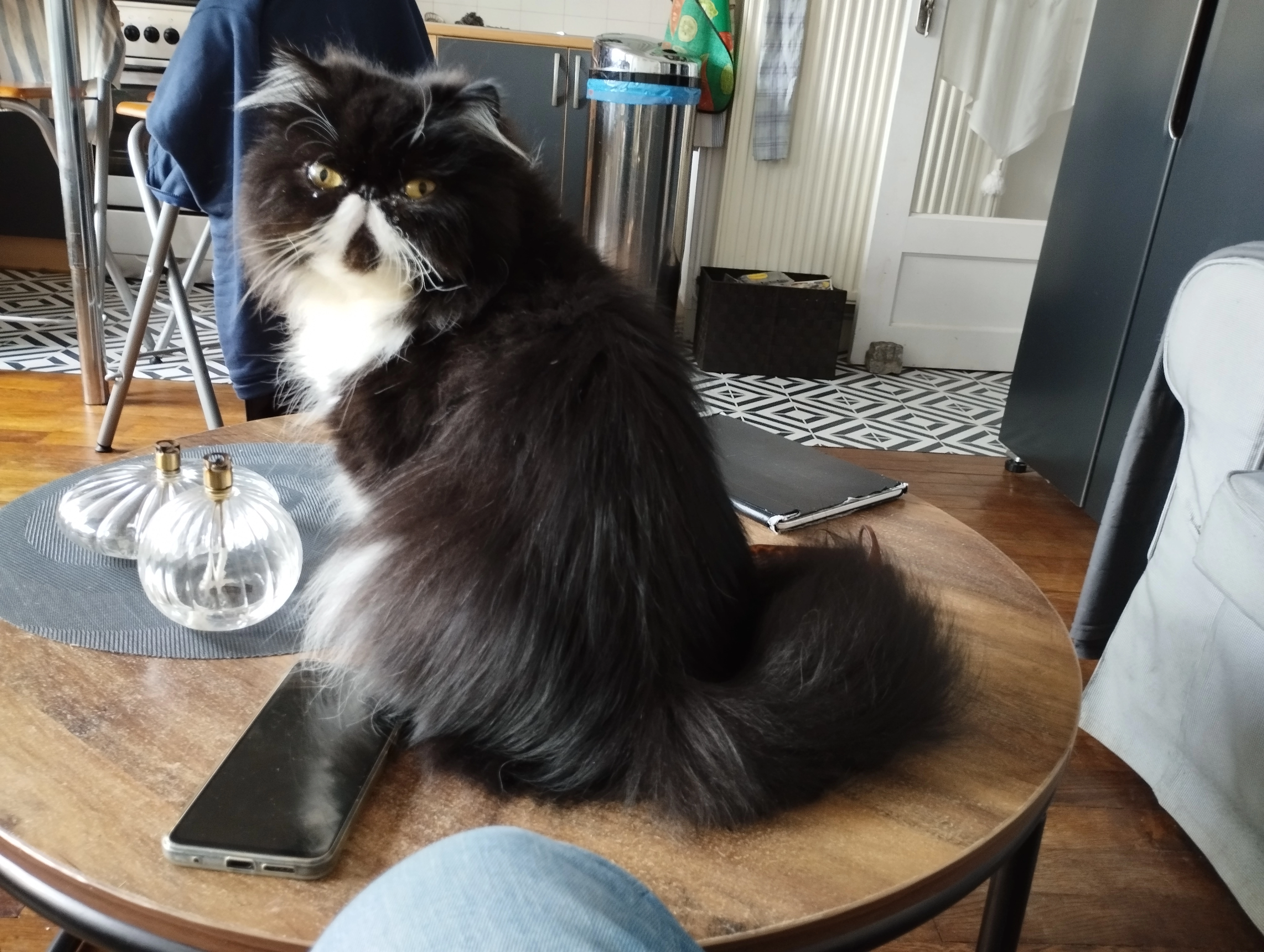 Lancelot  - Boulevard De La Libération, Dinard