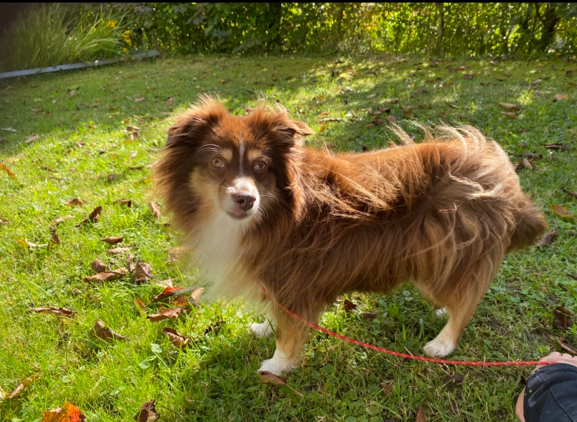 Buffy - Maderstrasse 4, Sankt Gallen