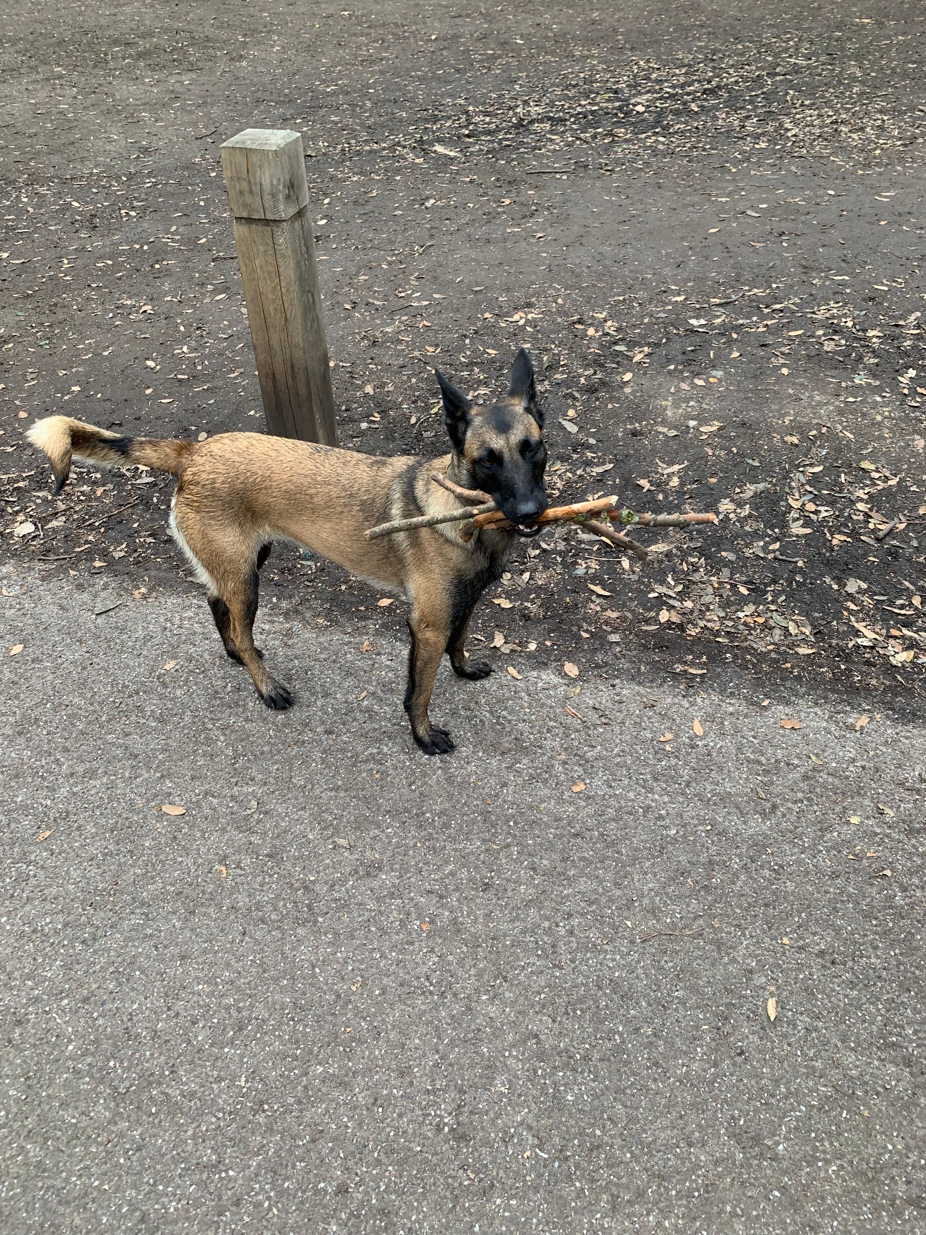 Vita - Barnet Lane, Borehamwood
