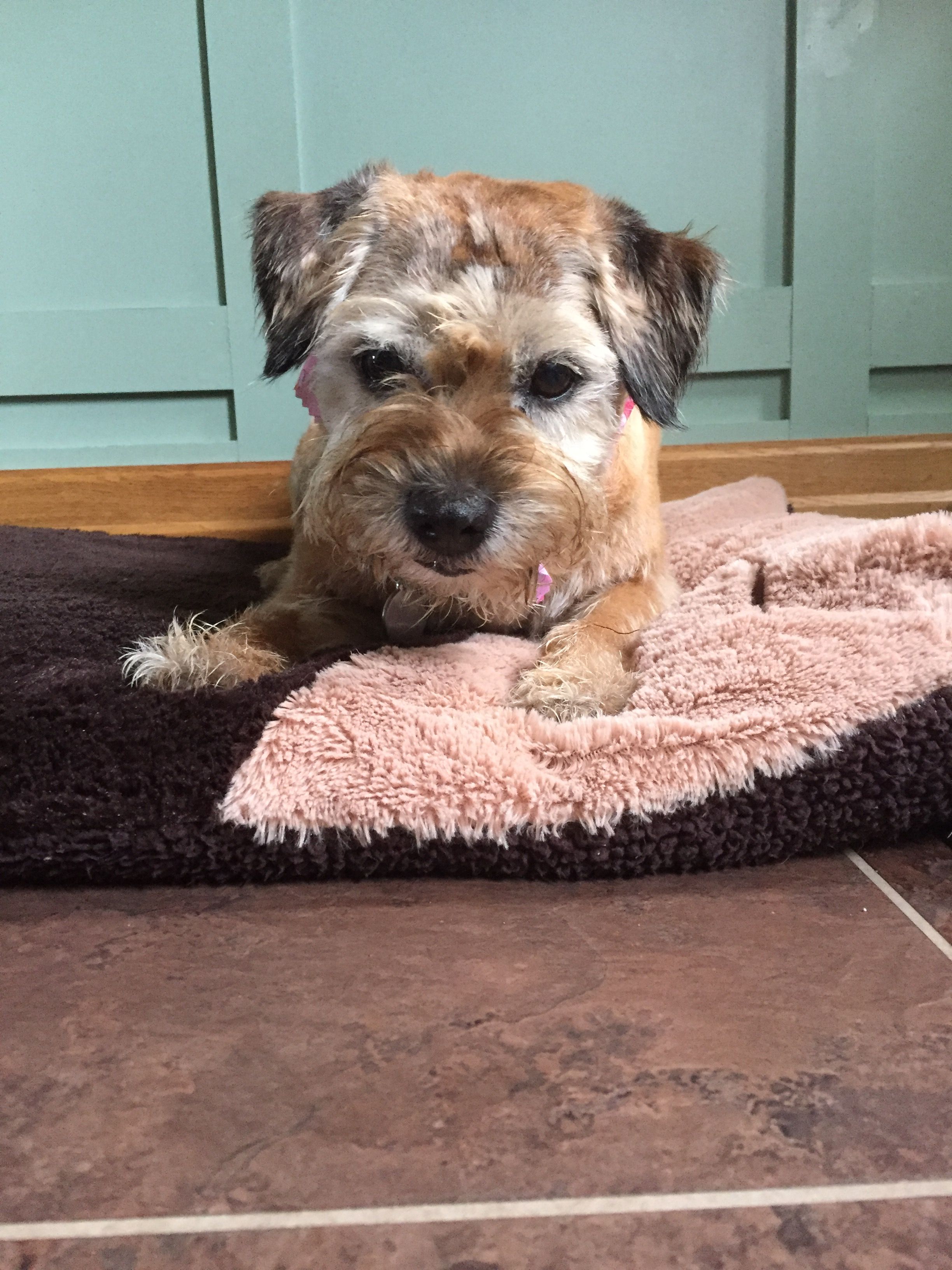 Bertha - Swordale Cottages, Dingwall