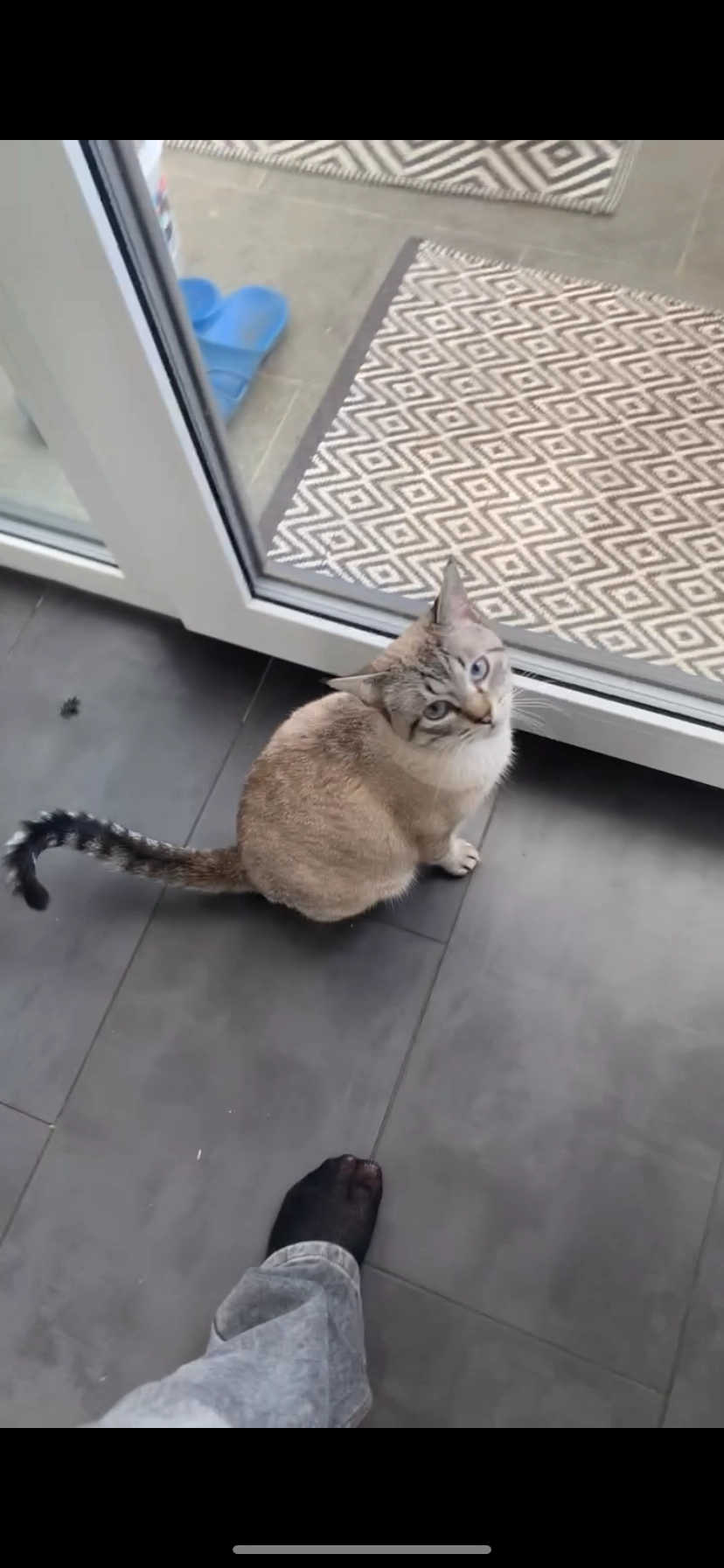 Nini - 32 Rue Nicolas Biever, Bettembourg