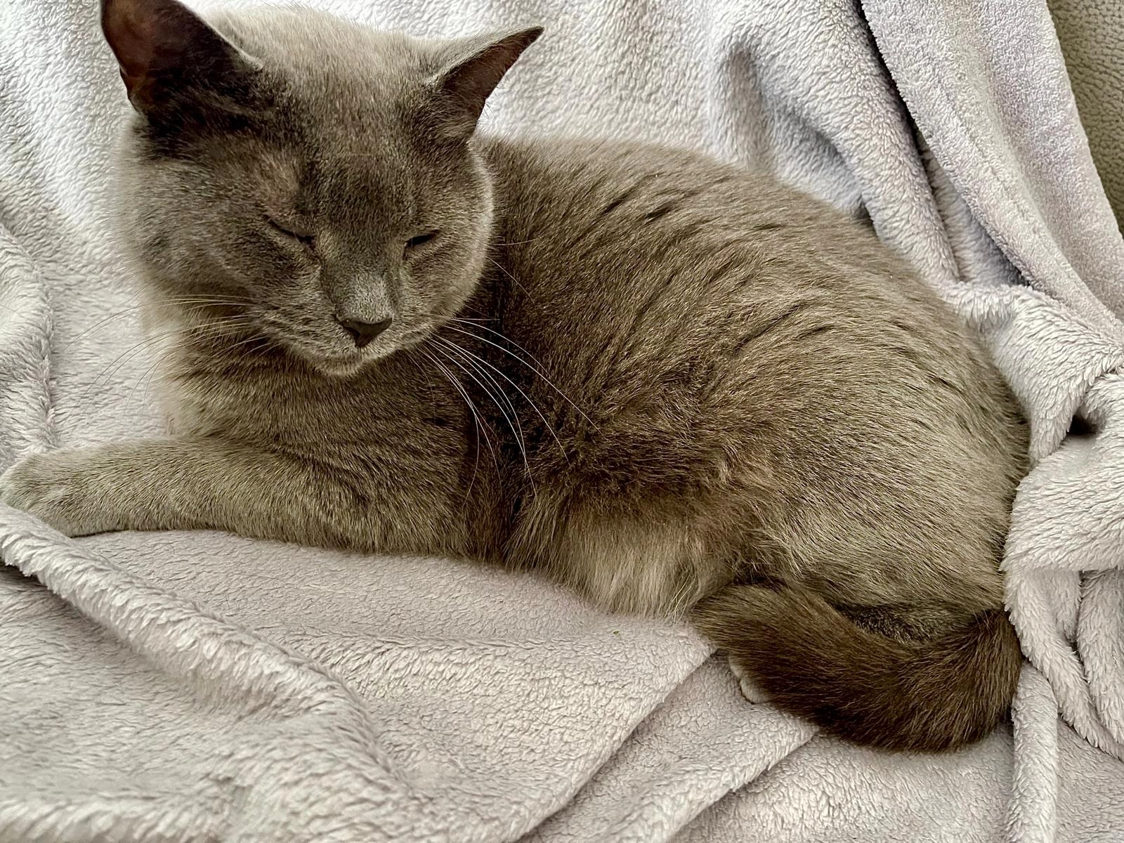 Minnie - Buschacker, Voerde