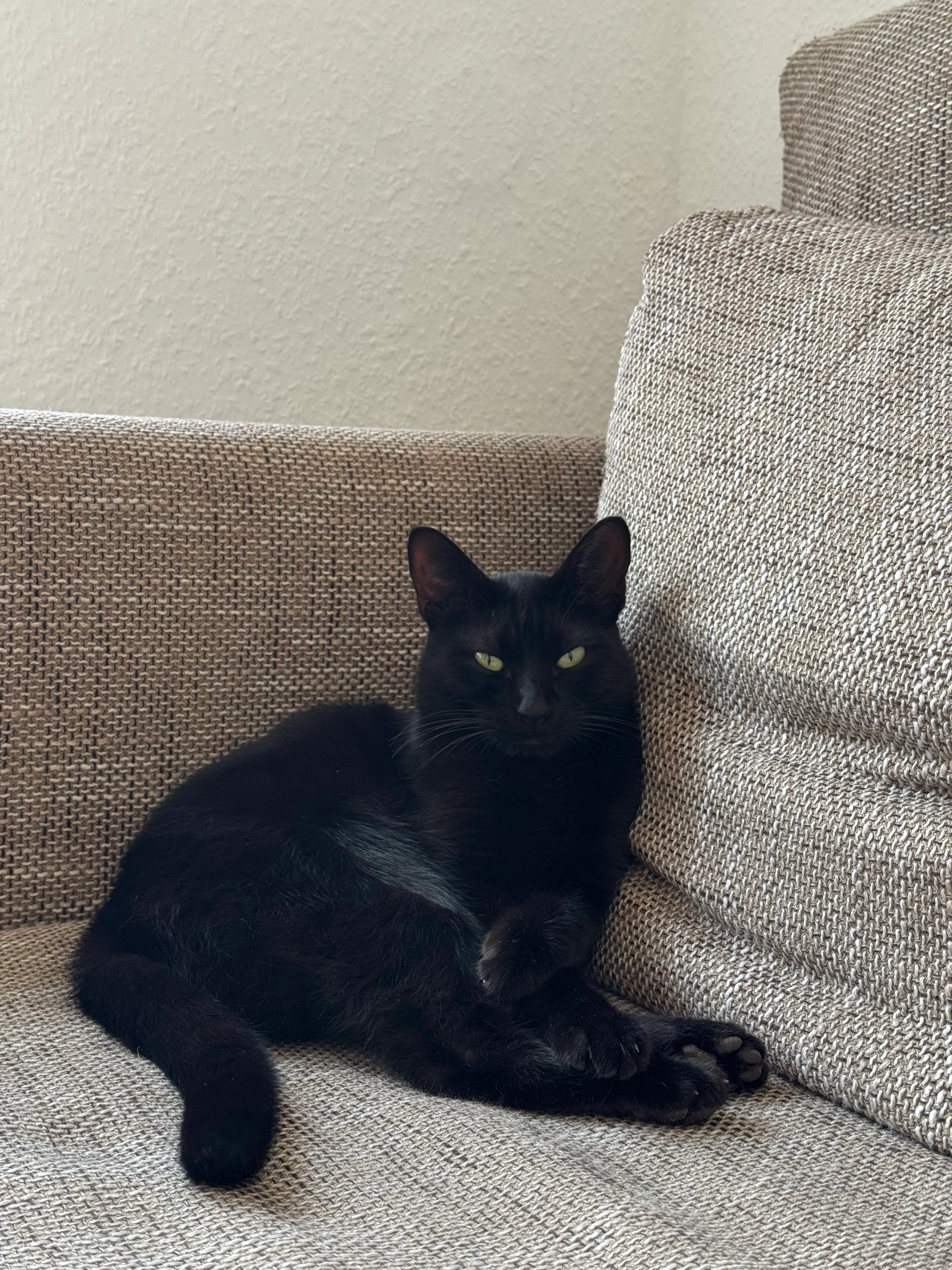 Umei - Hainholz, Bad Salzdetfurth