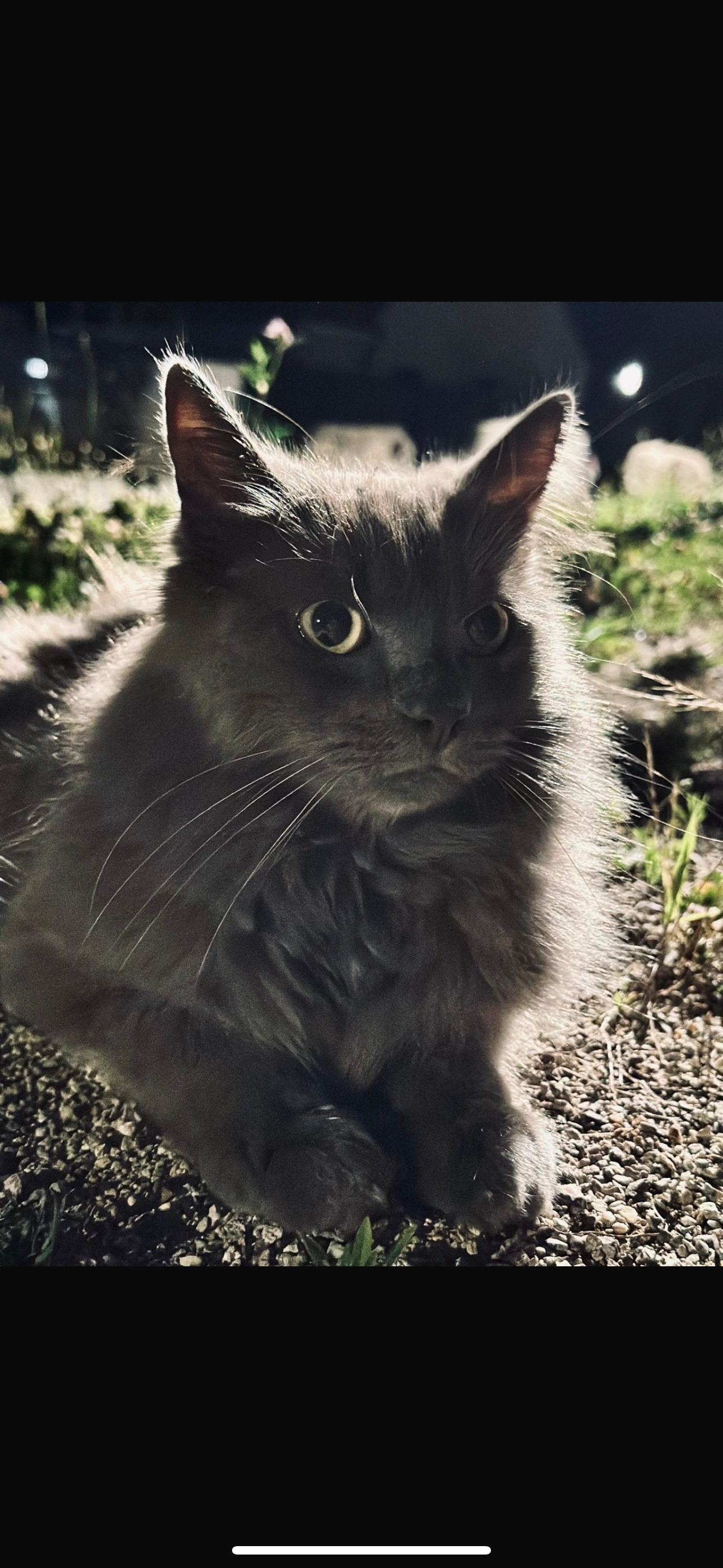 Snow - 291 Rue de la Chaise, Marcilly-en-Villette