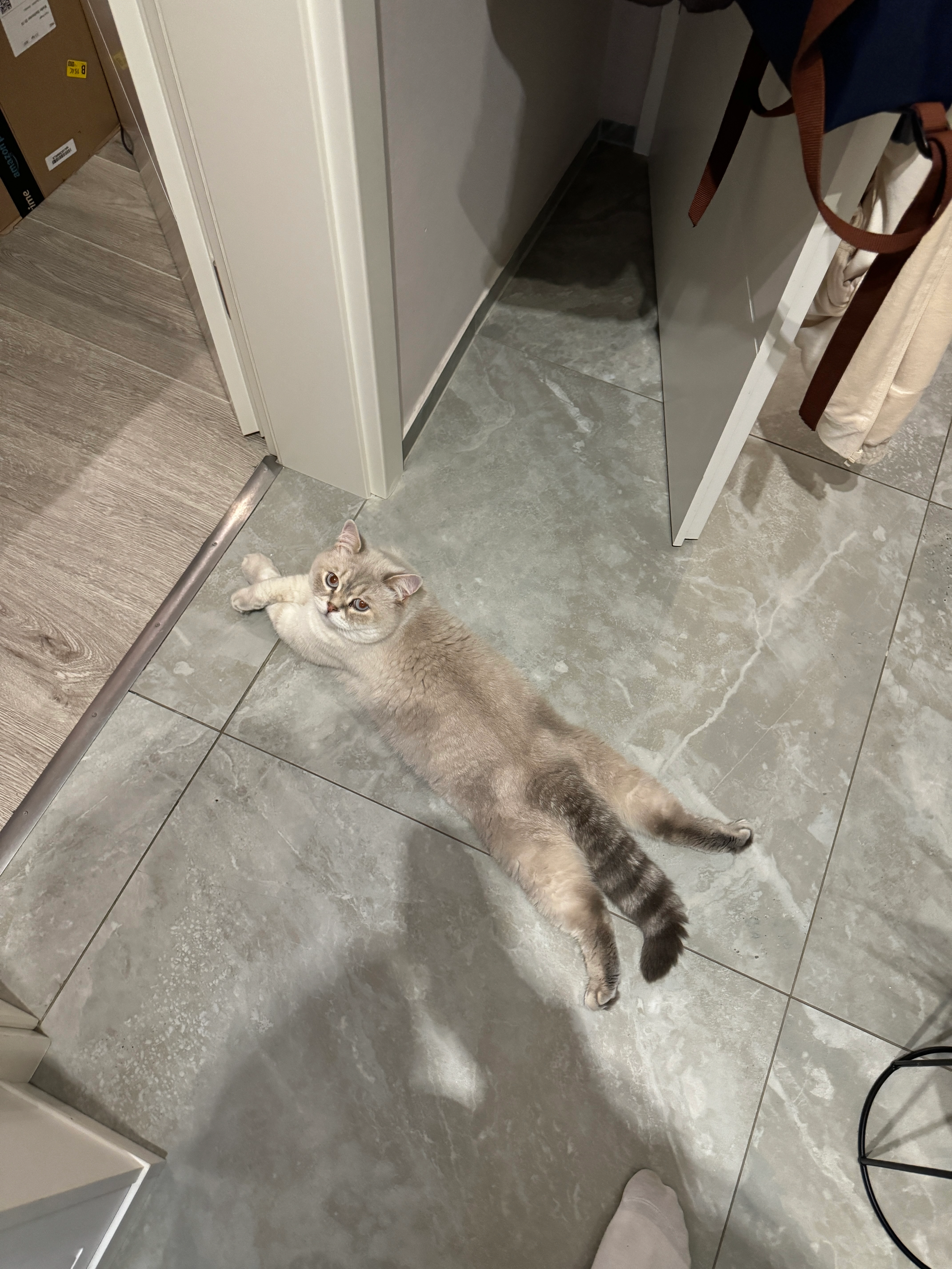 Jackson - Nieder-Saulheimer Straße, Saulheim