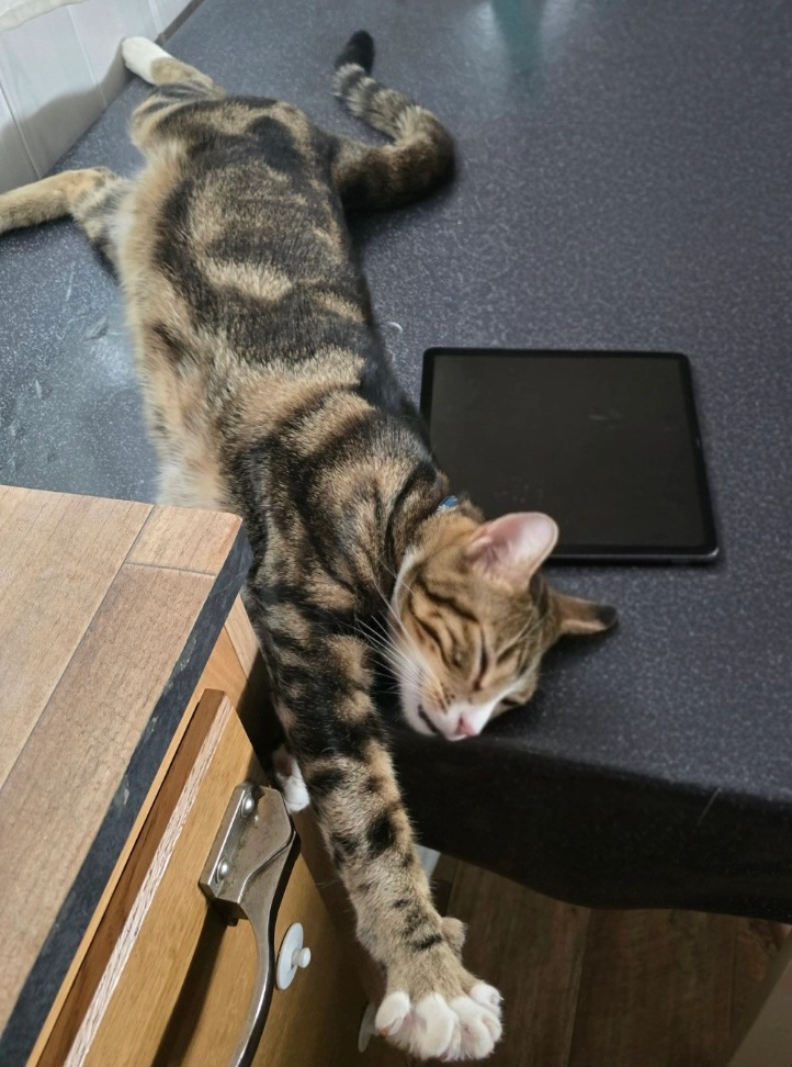 Felix - Chanac Village, Chanac