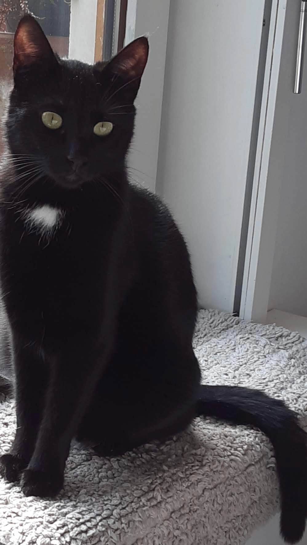 Sakura - 12 Rue du Puits, Villerable