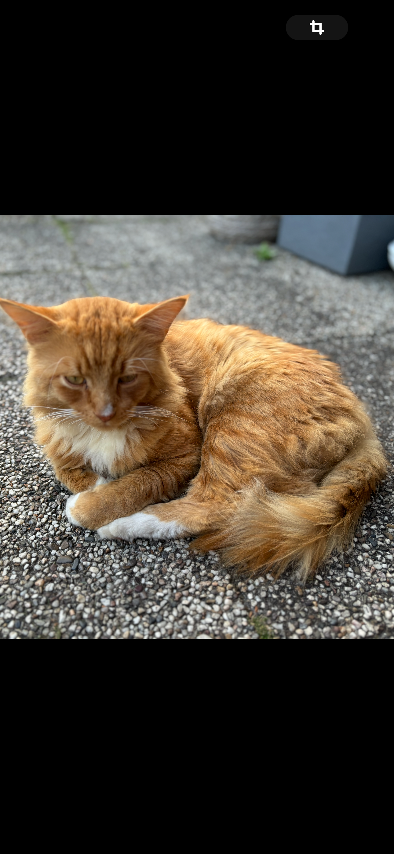 Marlay - Paschberg, Hagen im Bremischen