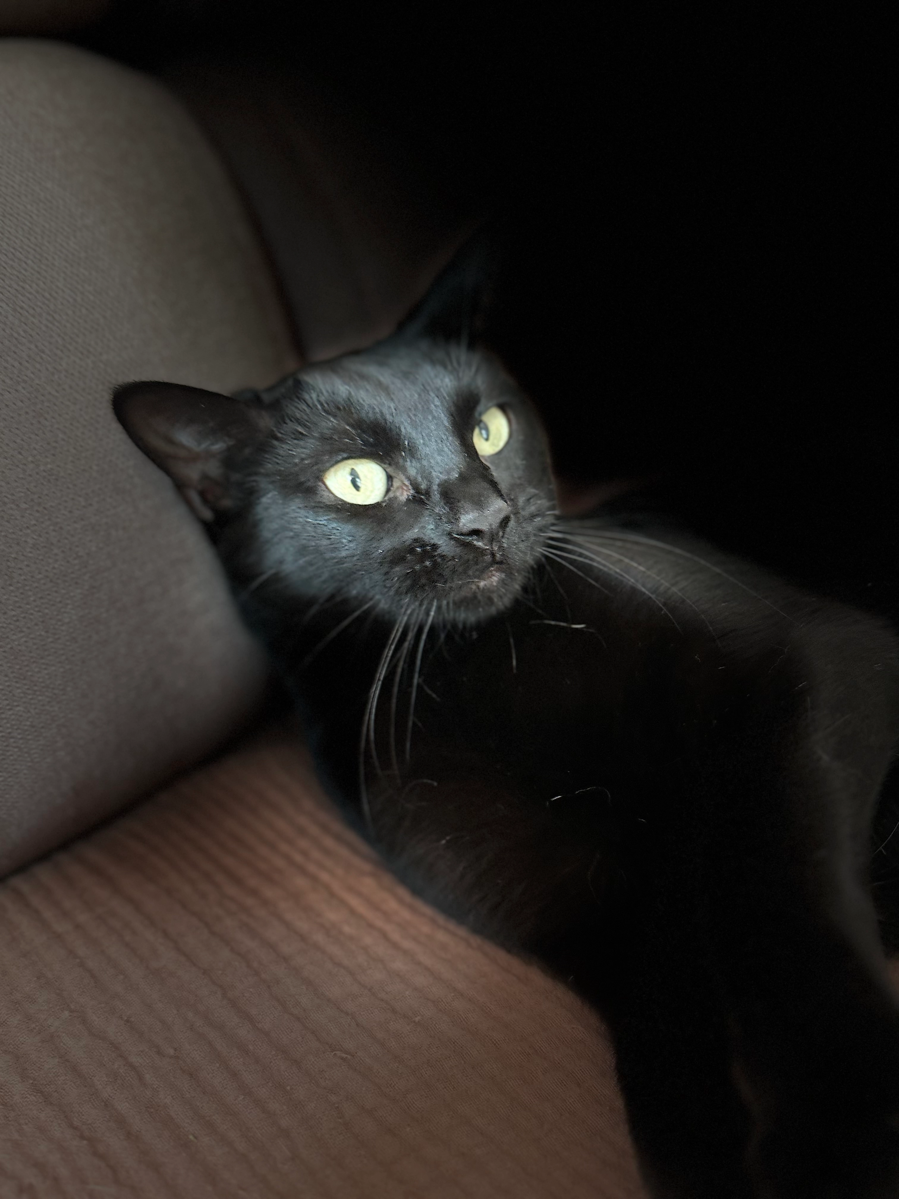 Luna - Marienstraße 42, Hamburg