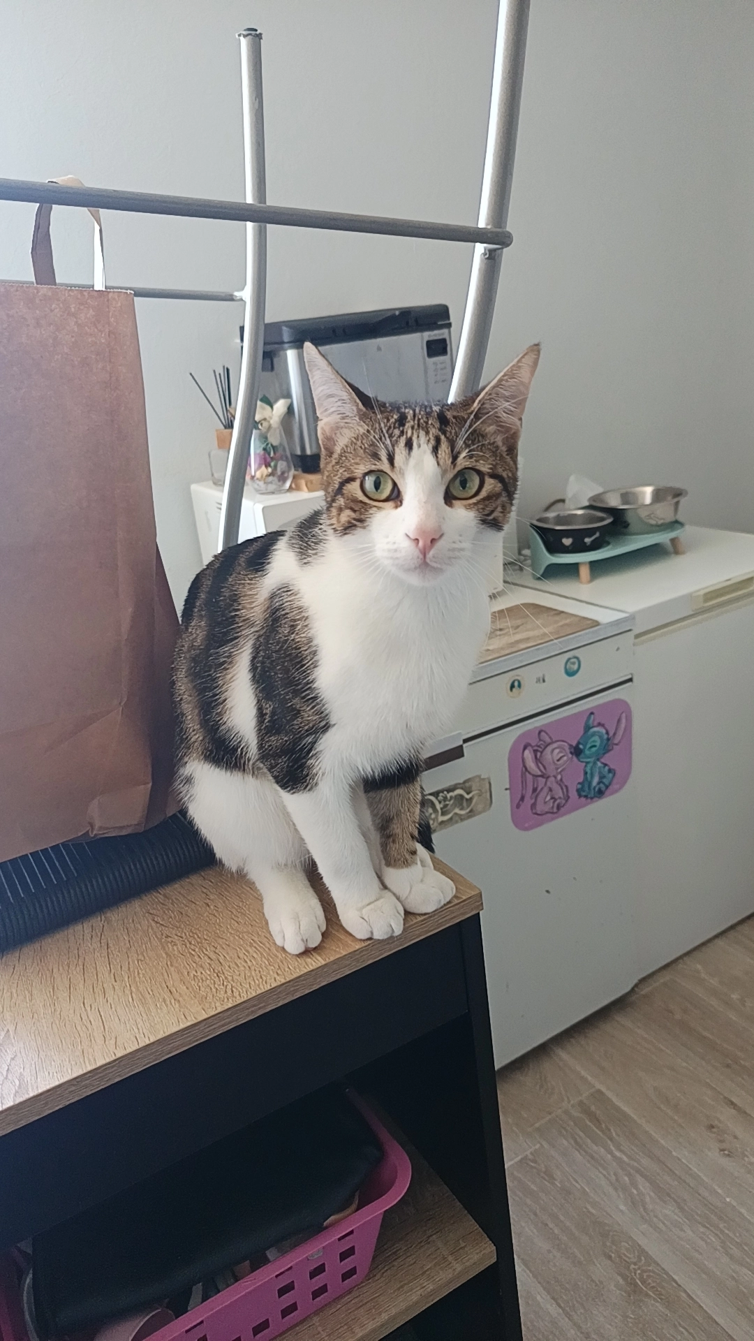 Kaïlo  - 7 Cours Montaigne, Vesoul