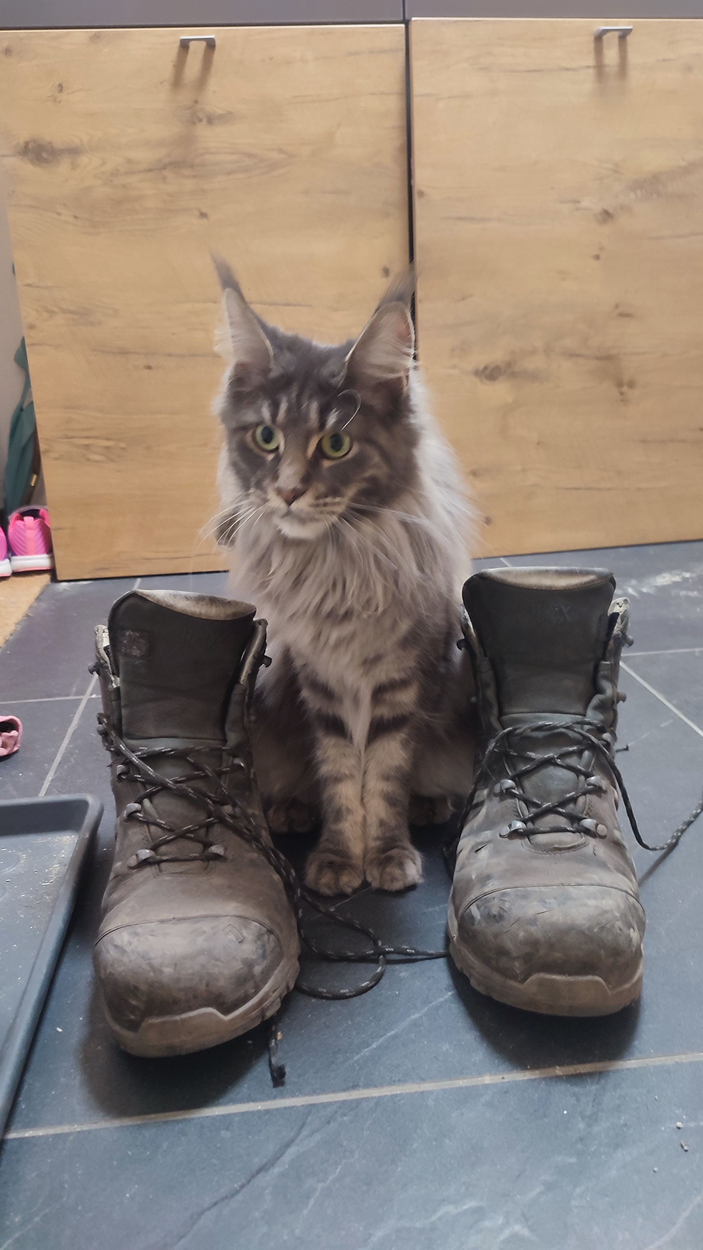 Renate - Achenseestraße, Jenbach